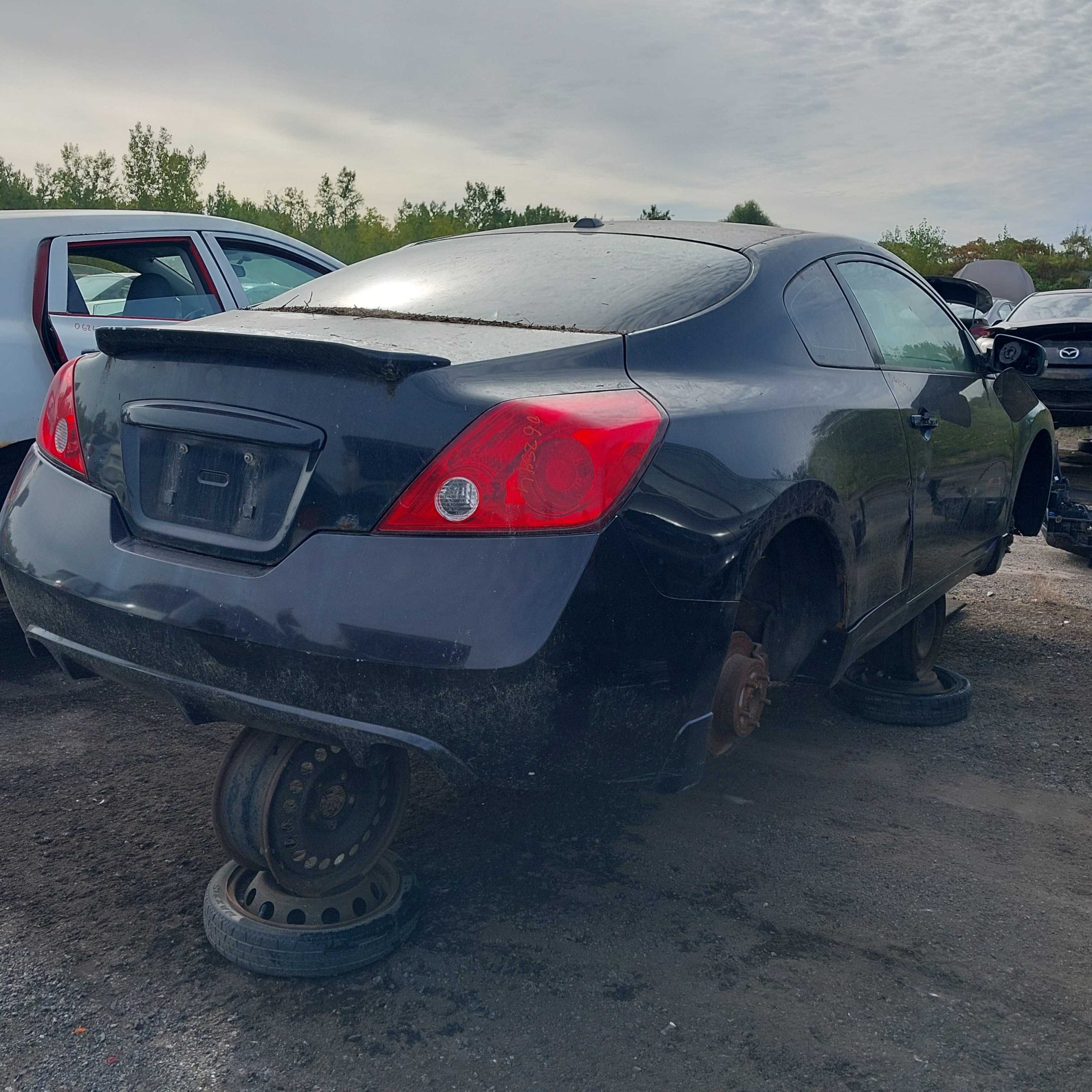 NISSAN ALTIMA 2008
