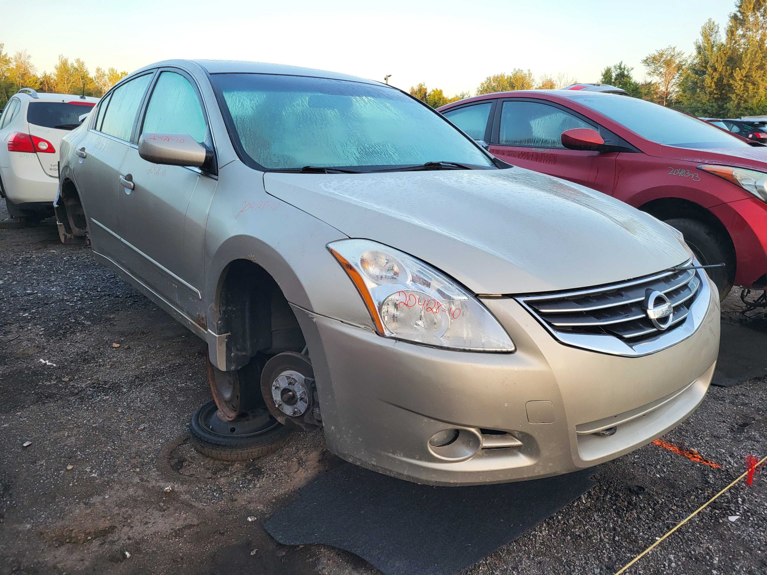 NISSAN ALTIMA 2010