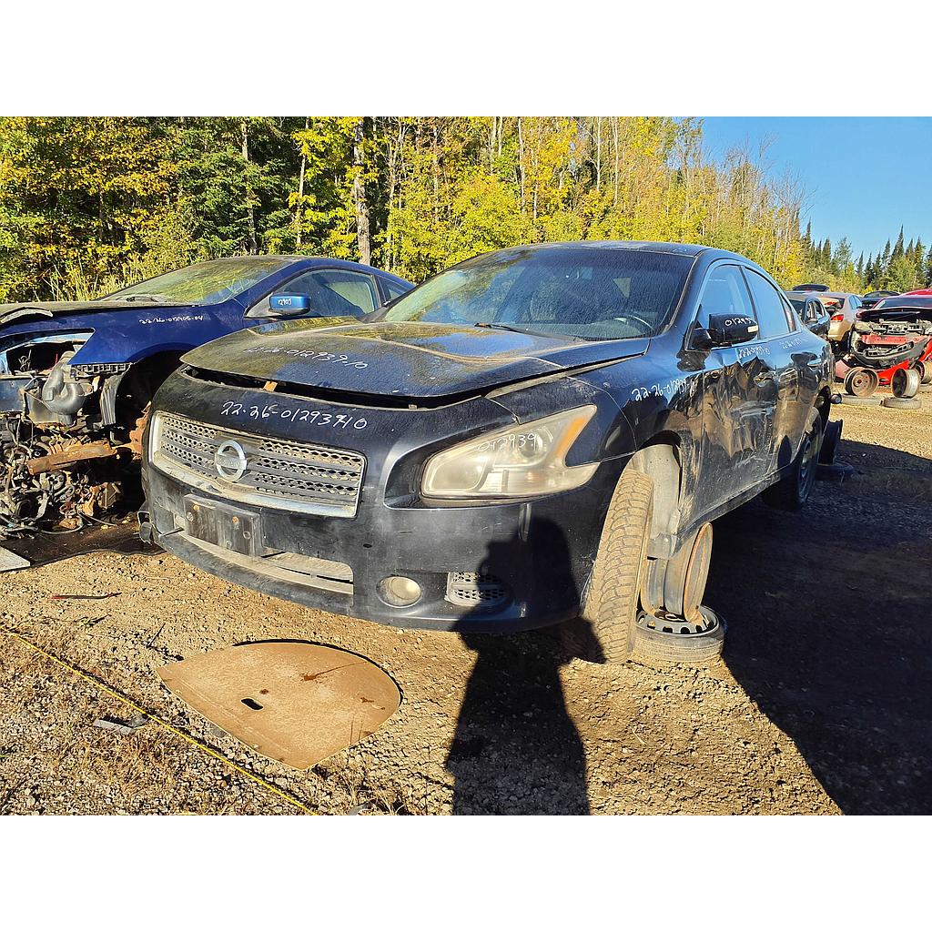 NISSAN MAXIMA 2010