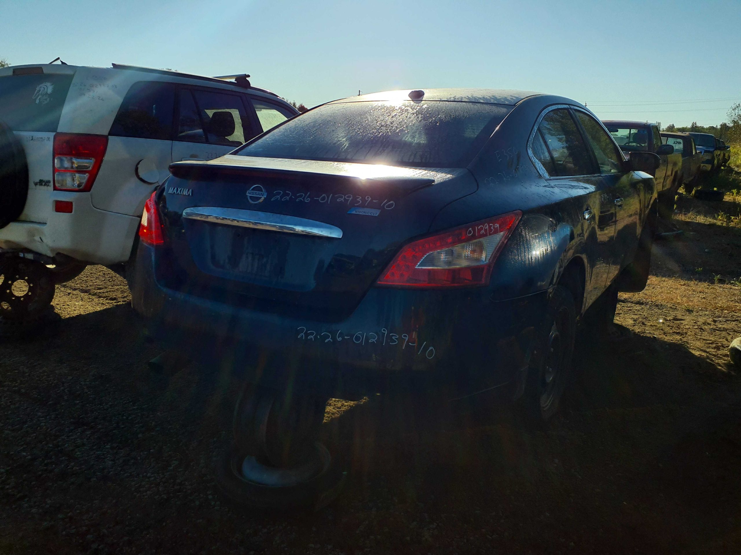 NISSAN MAXIMA 2010