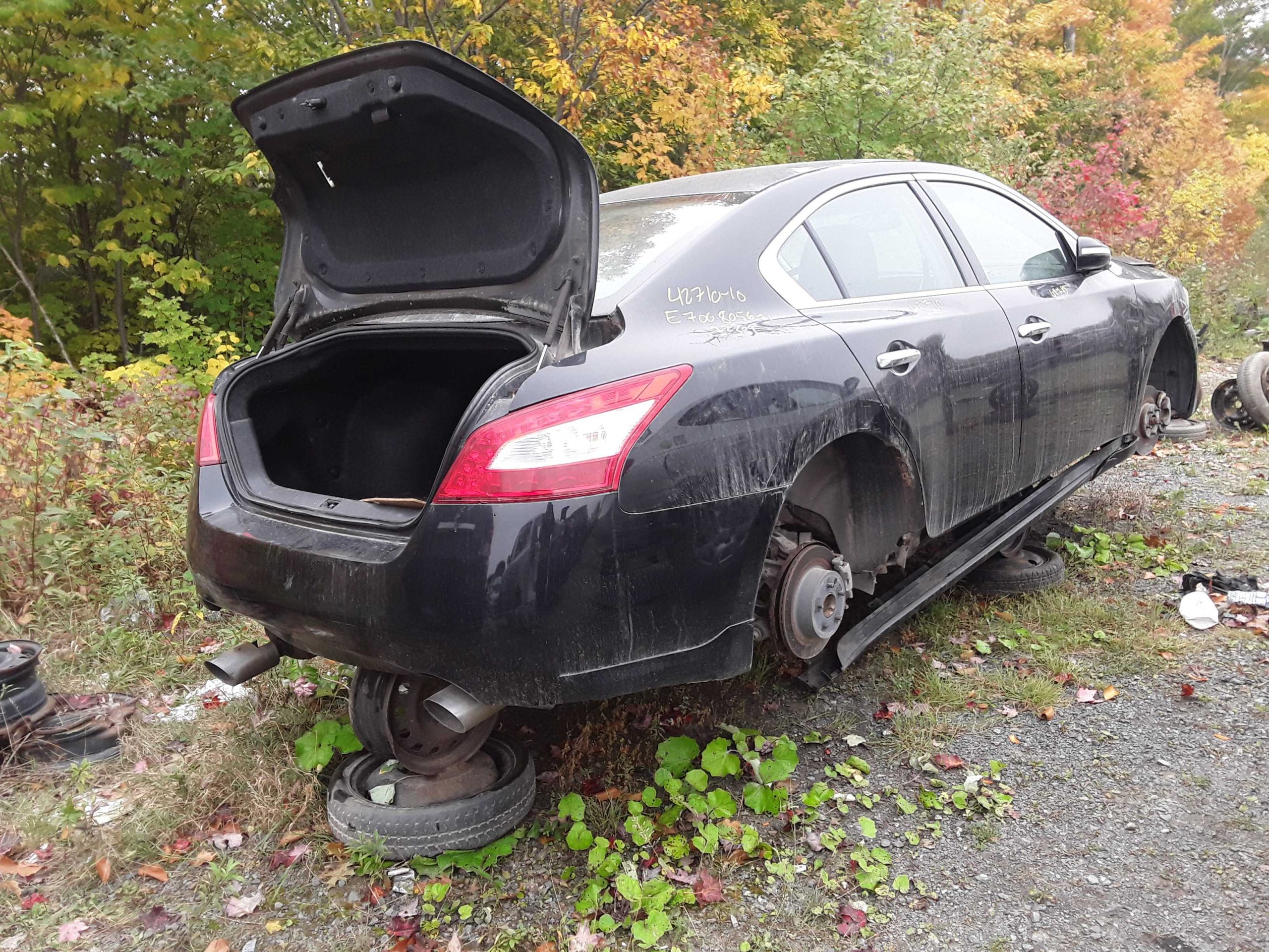 NISSAN MAXIMA 2010