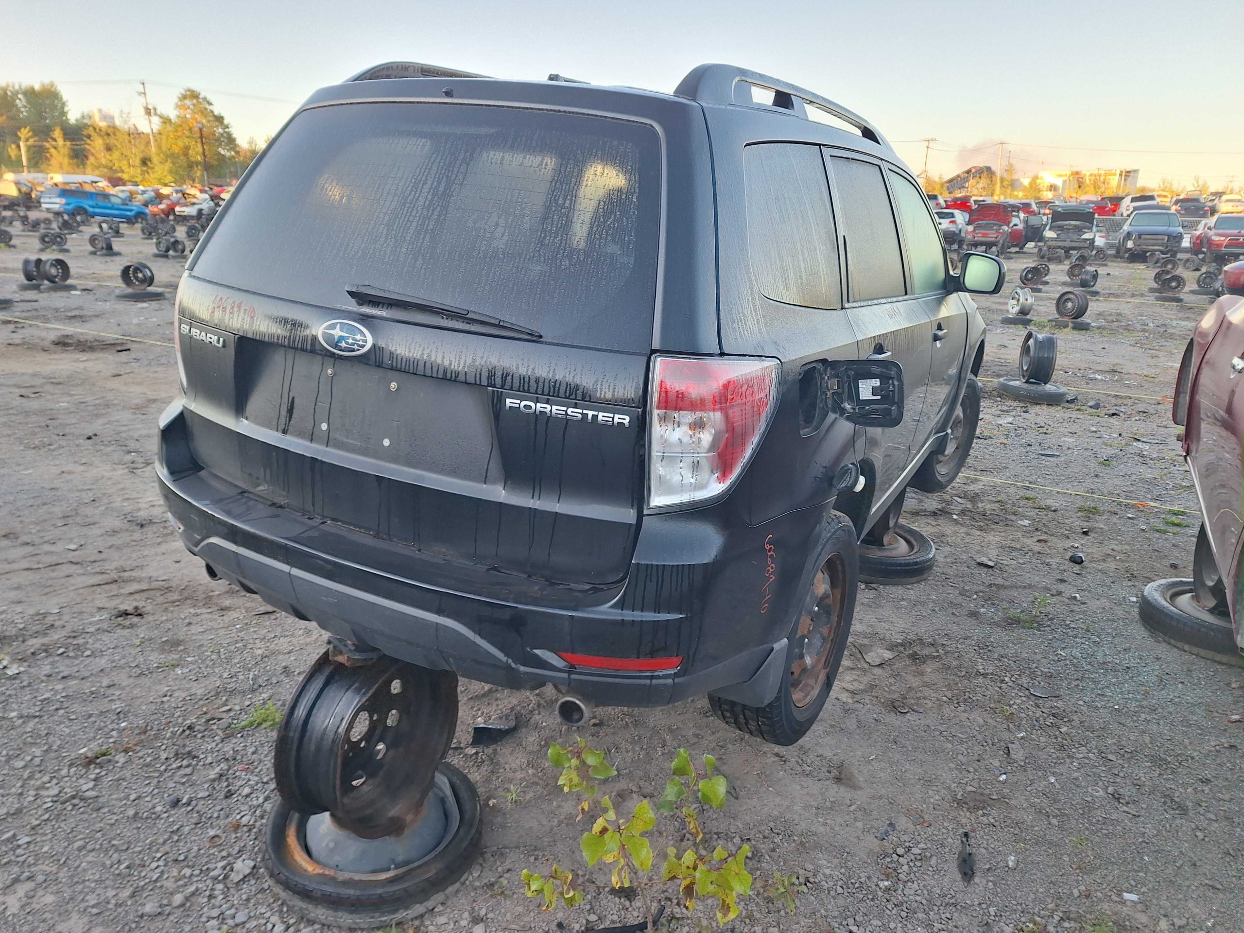 SUBARU FORESTER 2010