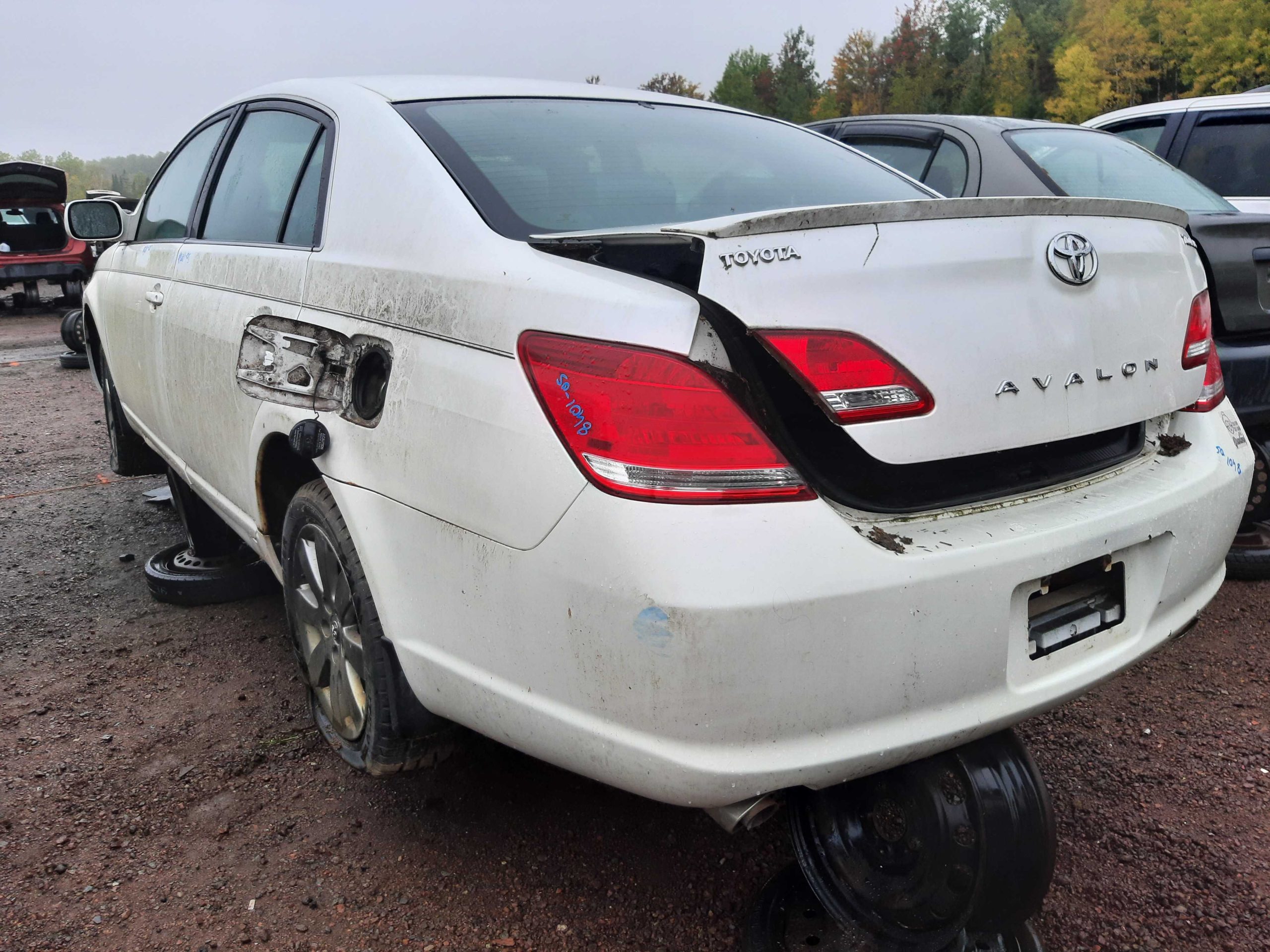 TOYOTA AVALON 2005
