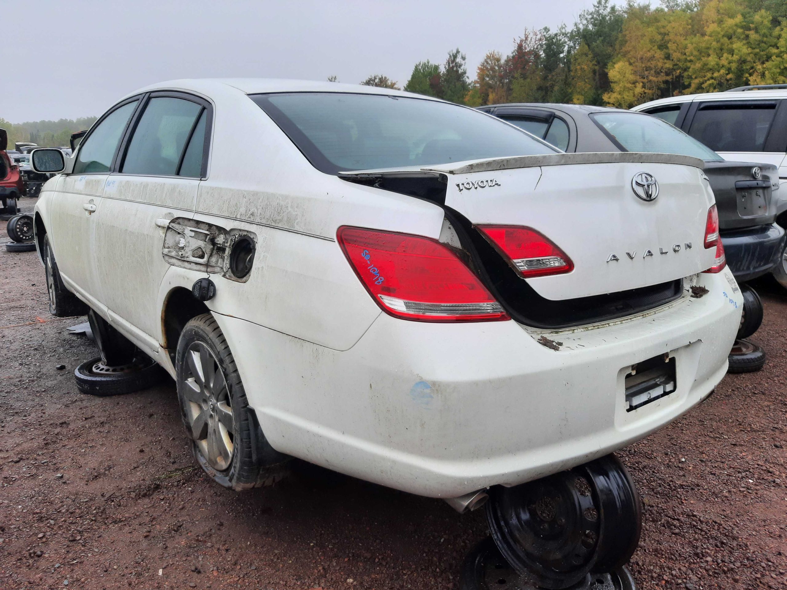 TOYOTA AVALON 2005