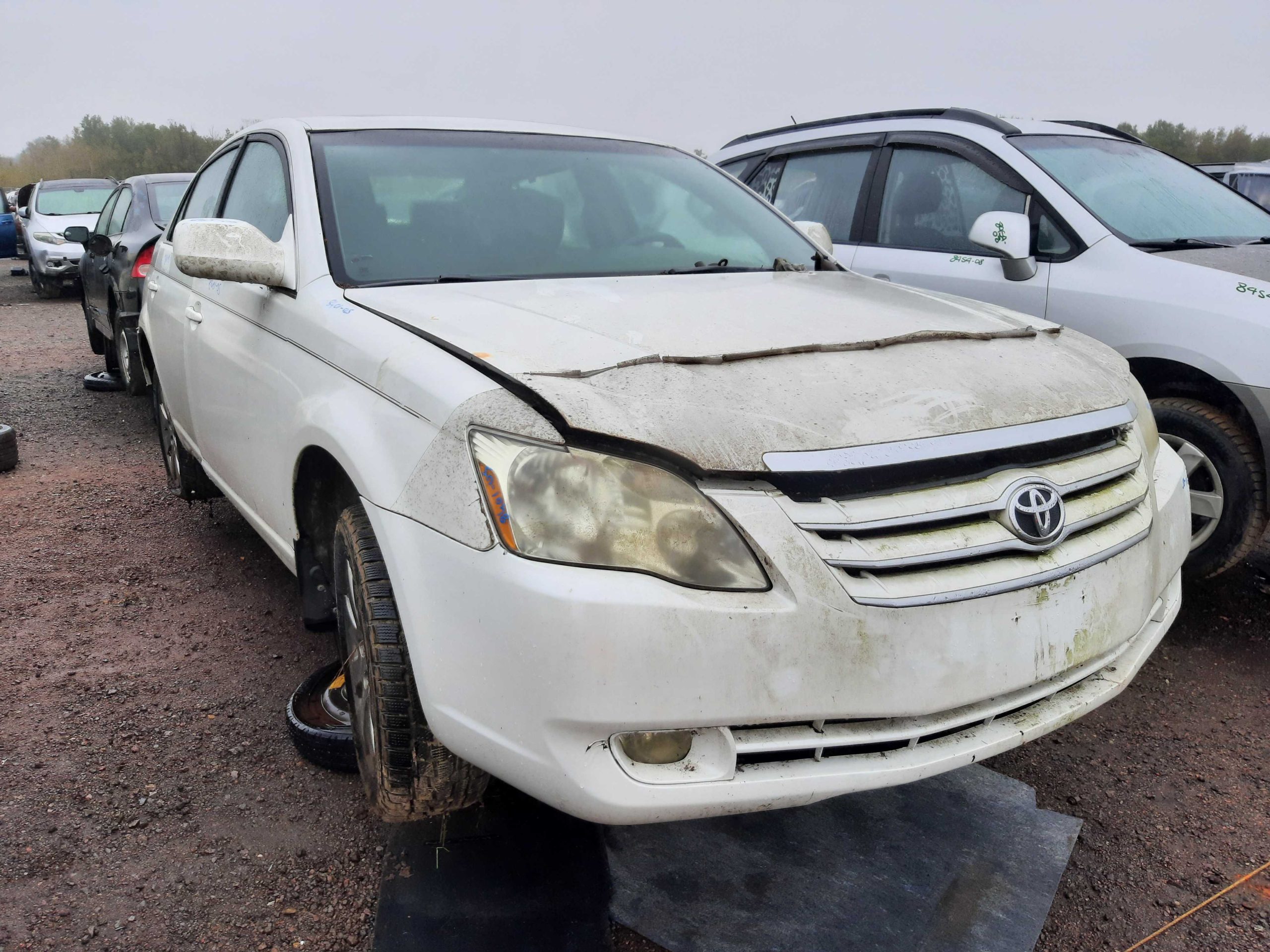 TOYOTA AVALON 2005