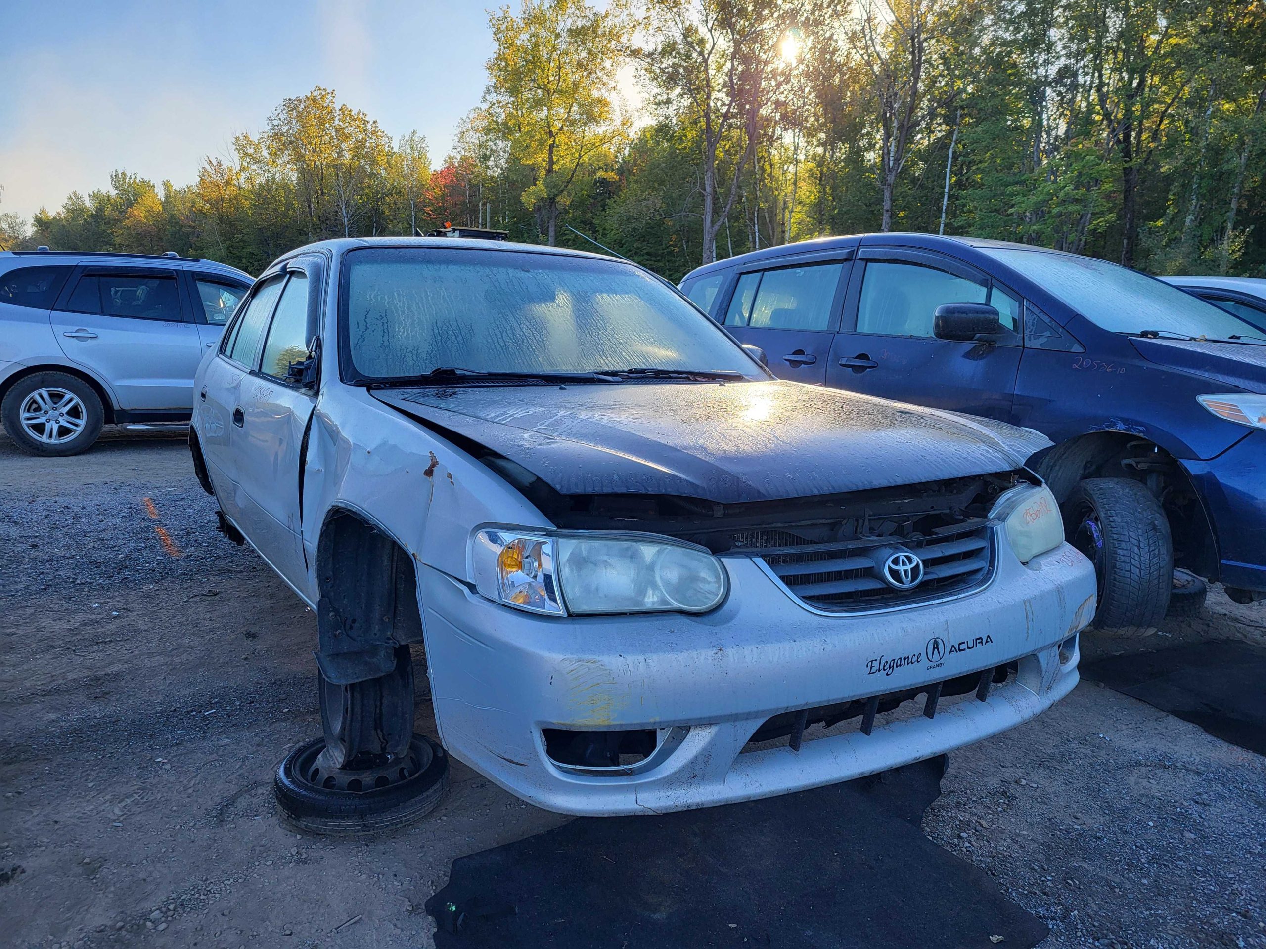 TOYOTA COROLLA 2002