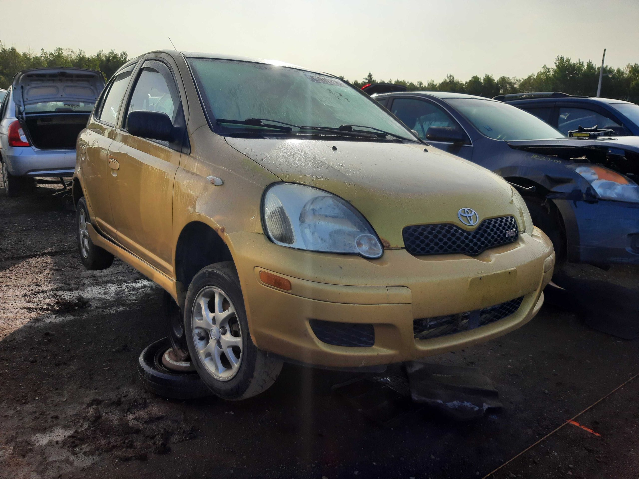 TOYOTA ECHO 2004