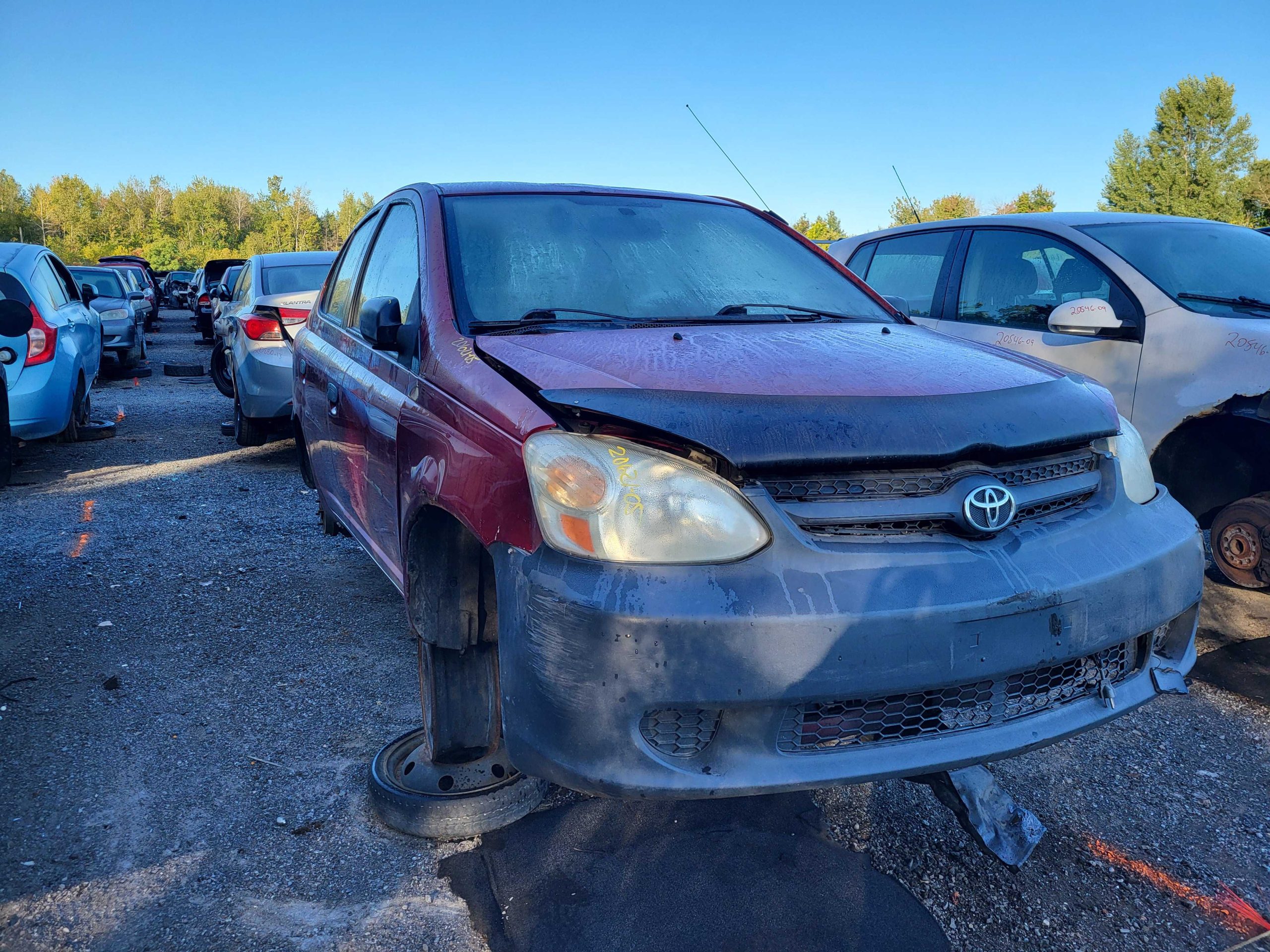 TOYOTA ECHO 2005