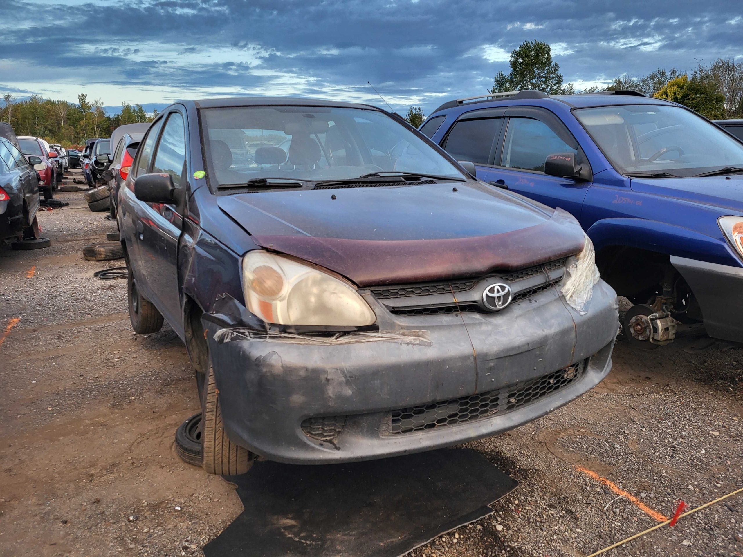 TOYOTA ECHO 2005