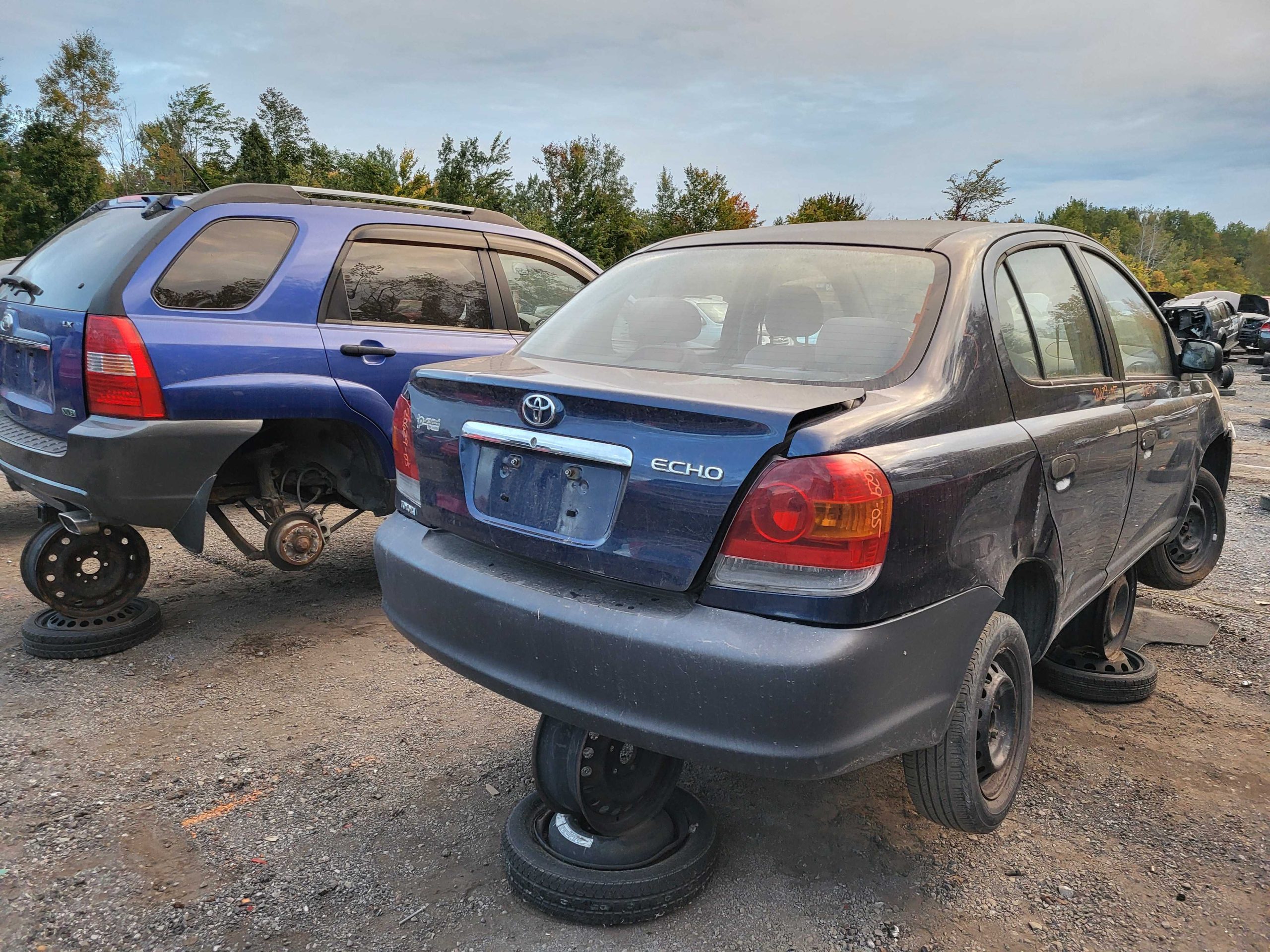 TOYOTA ECHO 2005