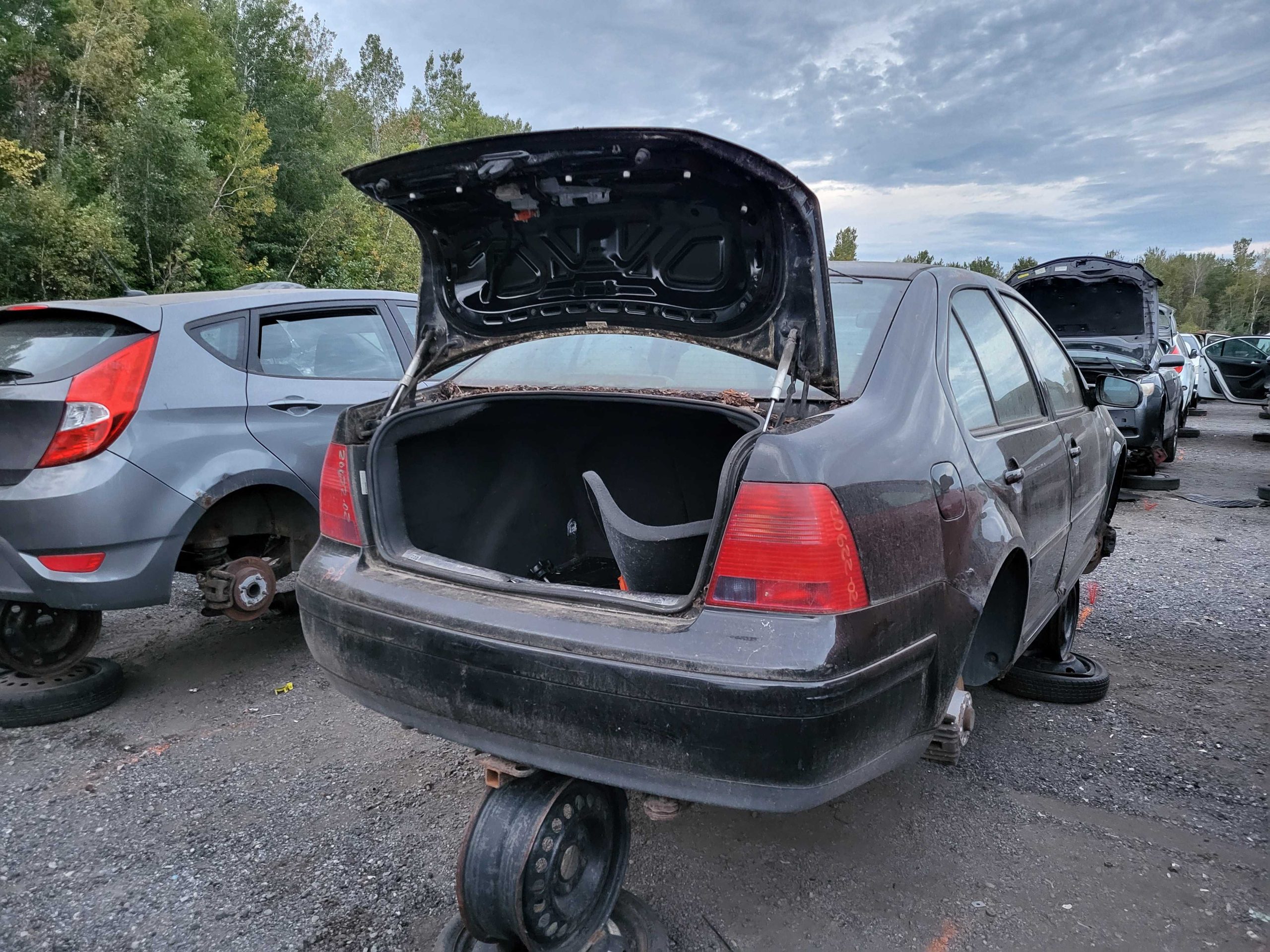 VOLKSWAGEN JETTA 2002