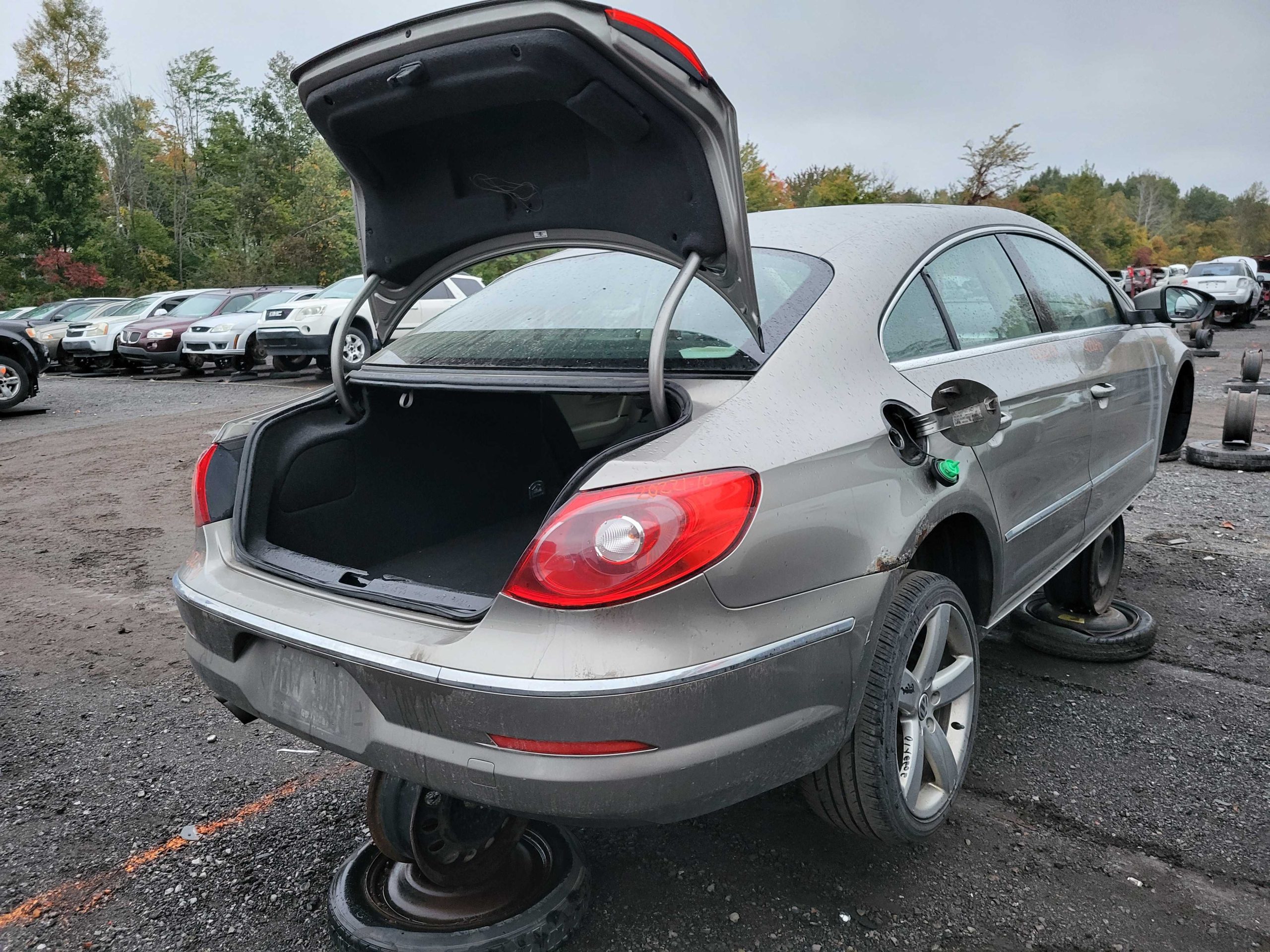 VOLKSWAGEN PASSAT 2010