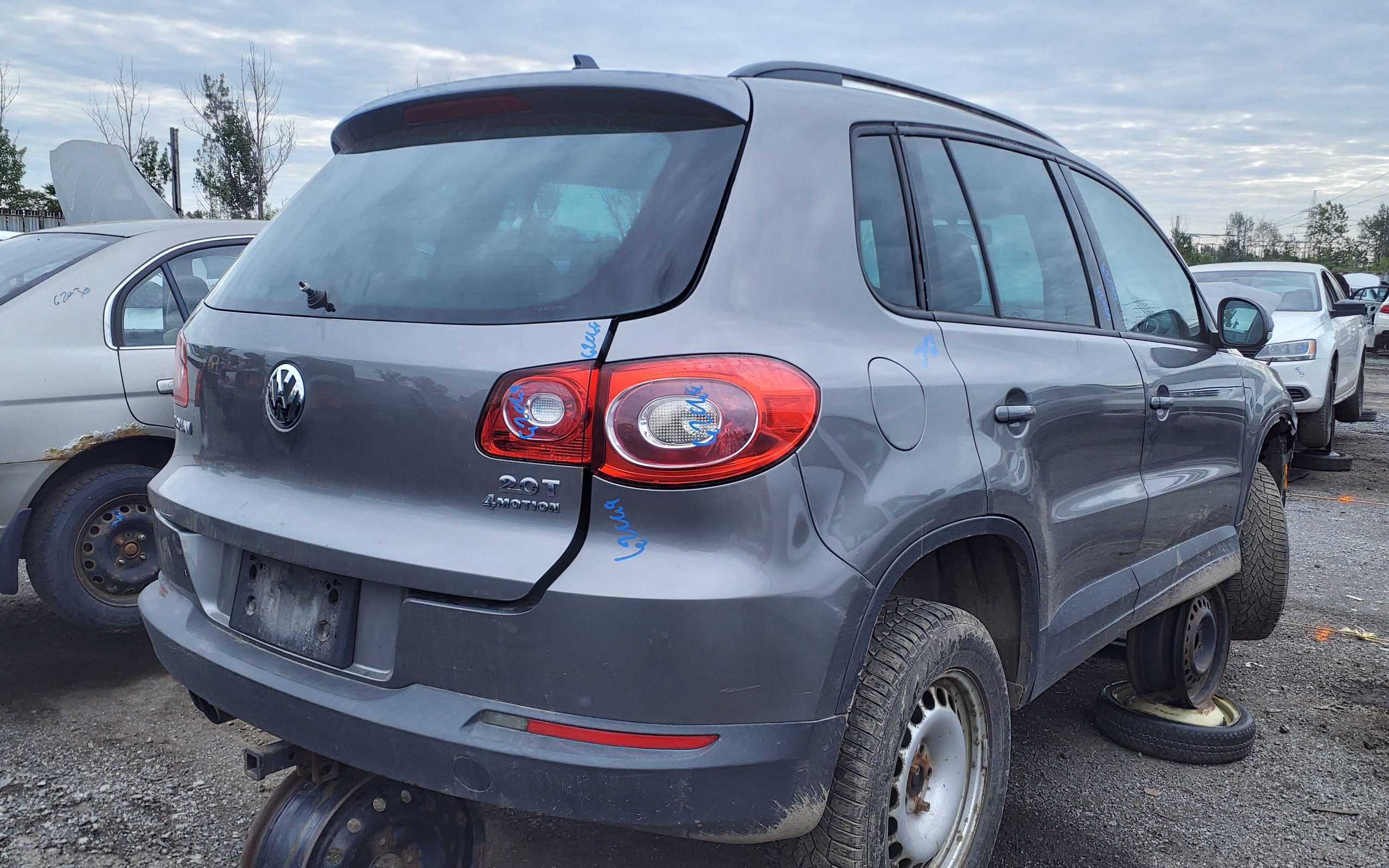 VOLKSWAGEN TIGUAN 2010