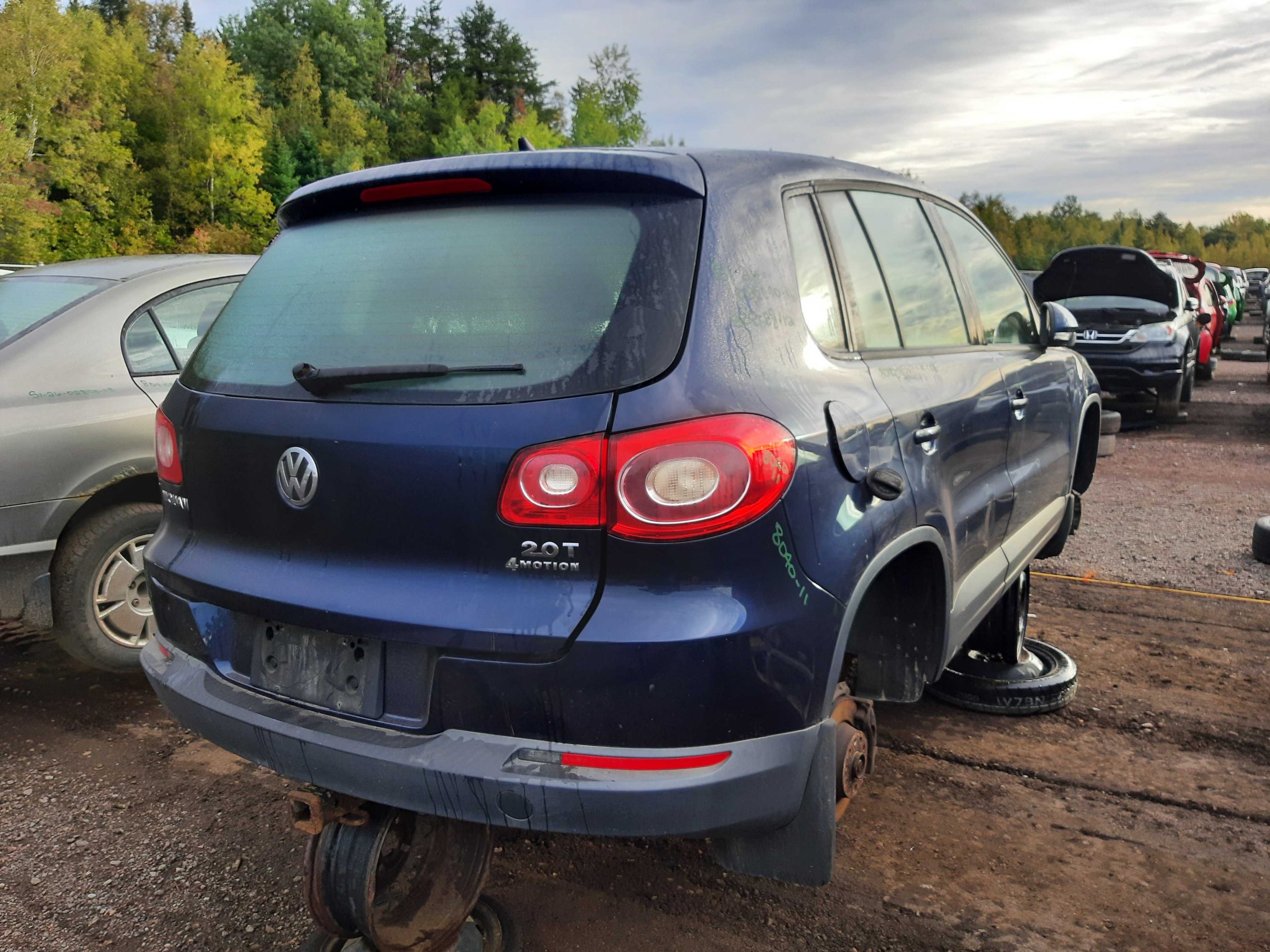 VOLKSWAGEN TIGUAN 2011