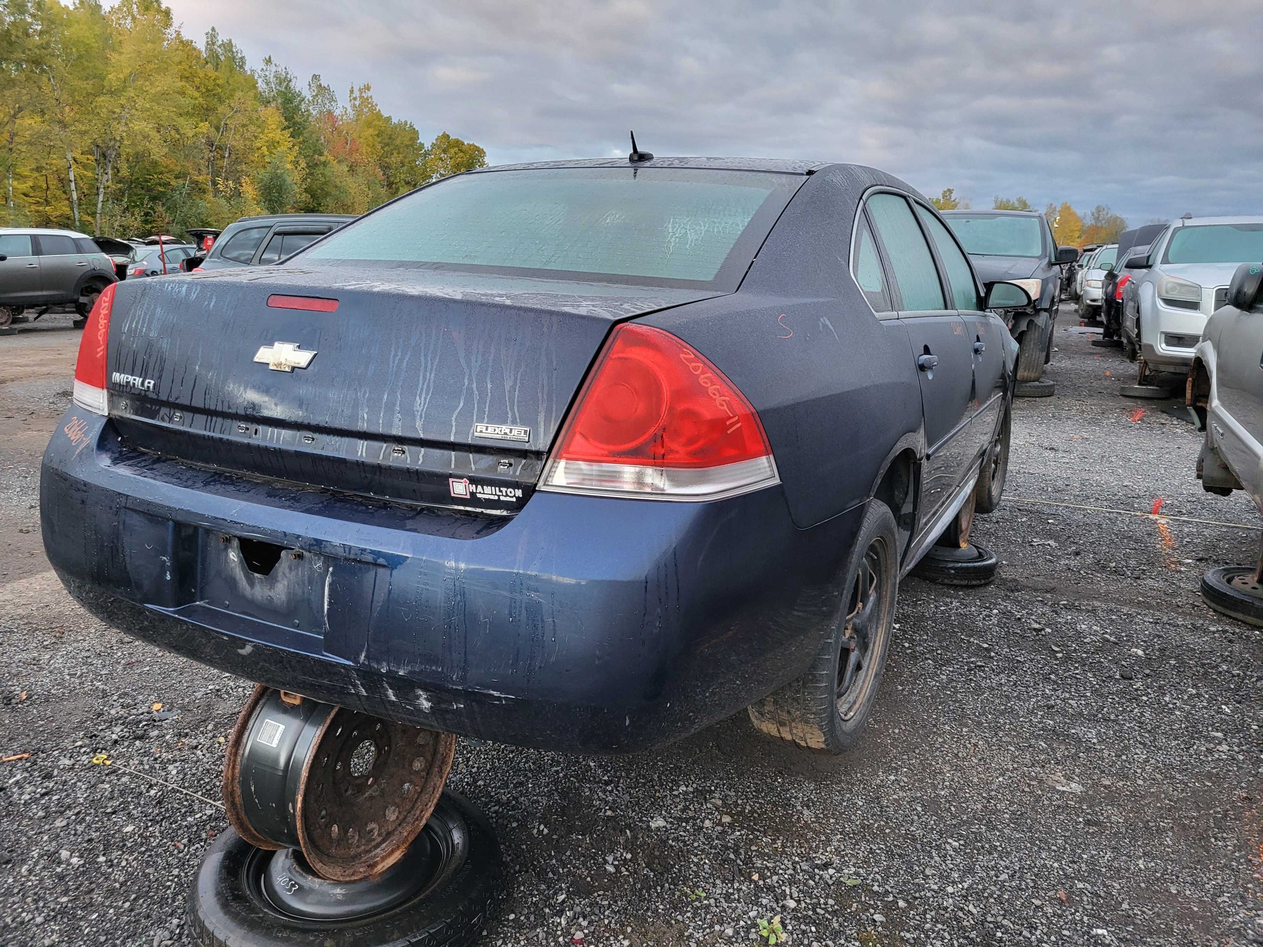 CHEVROLET IMPALA 2011