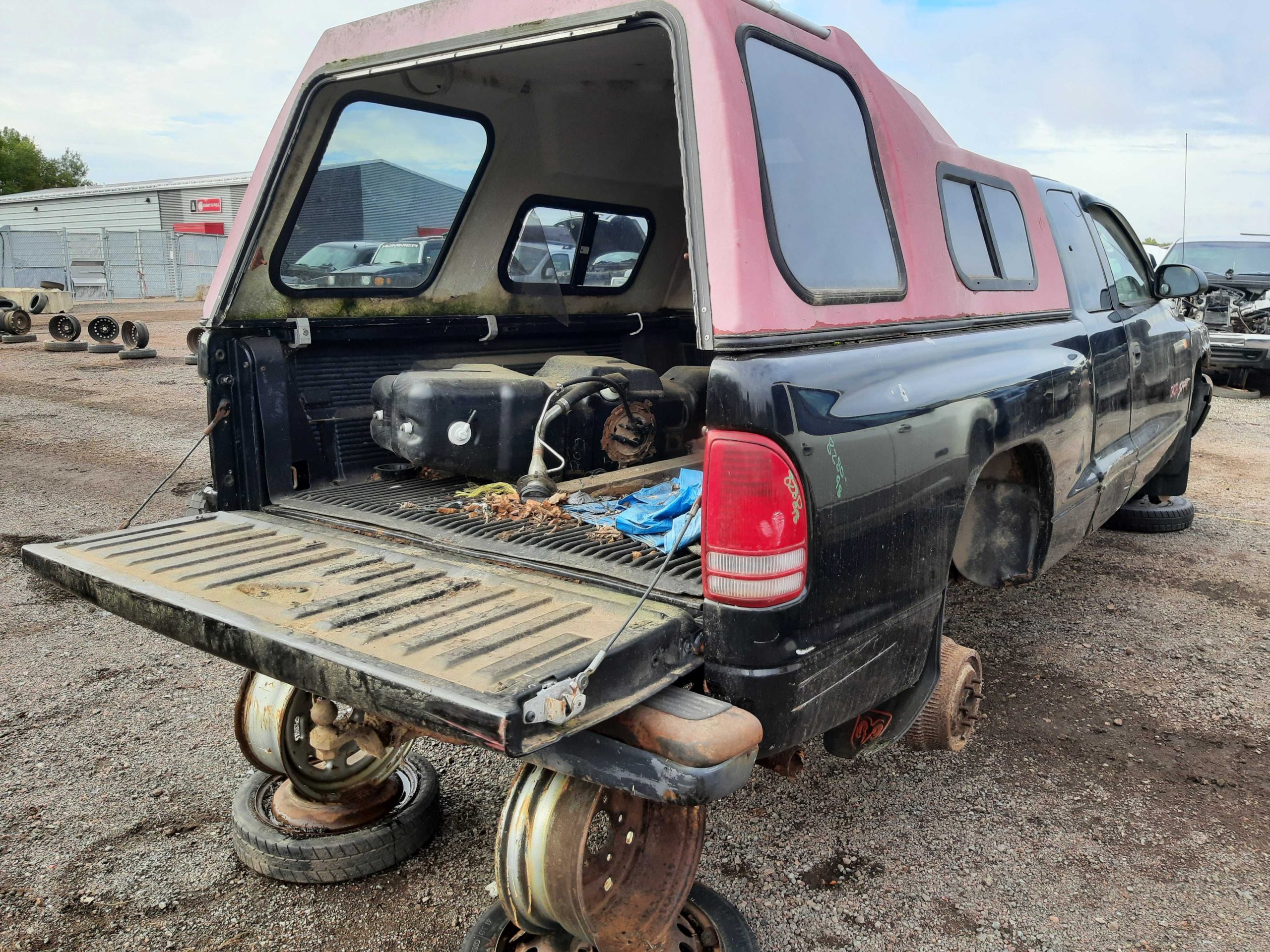 DODGE DAKOTA 1998