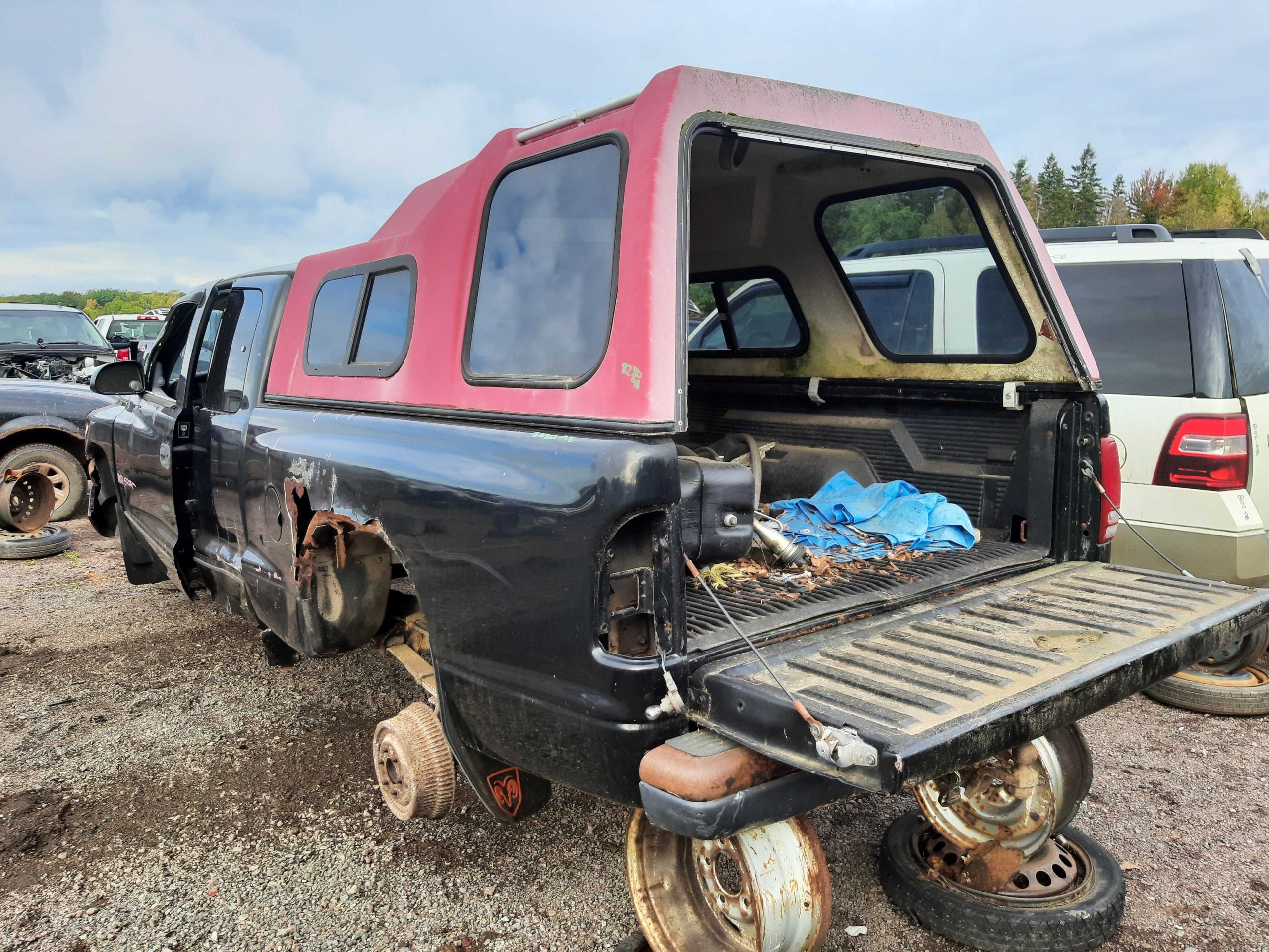 DODGE DAKOTA 1998