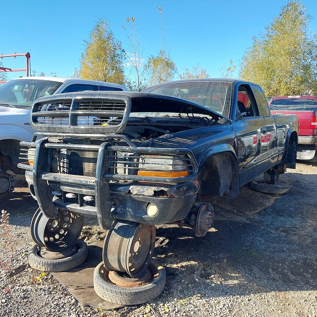 DODGE DAKOTA 1999