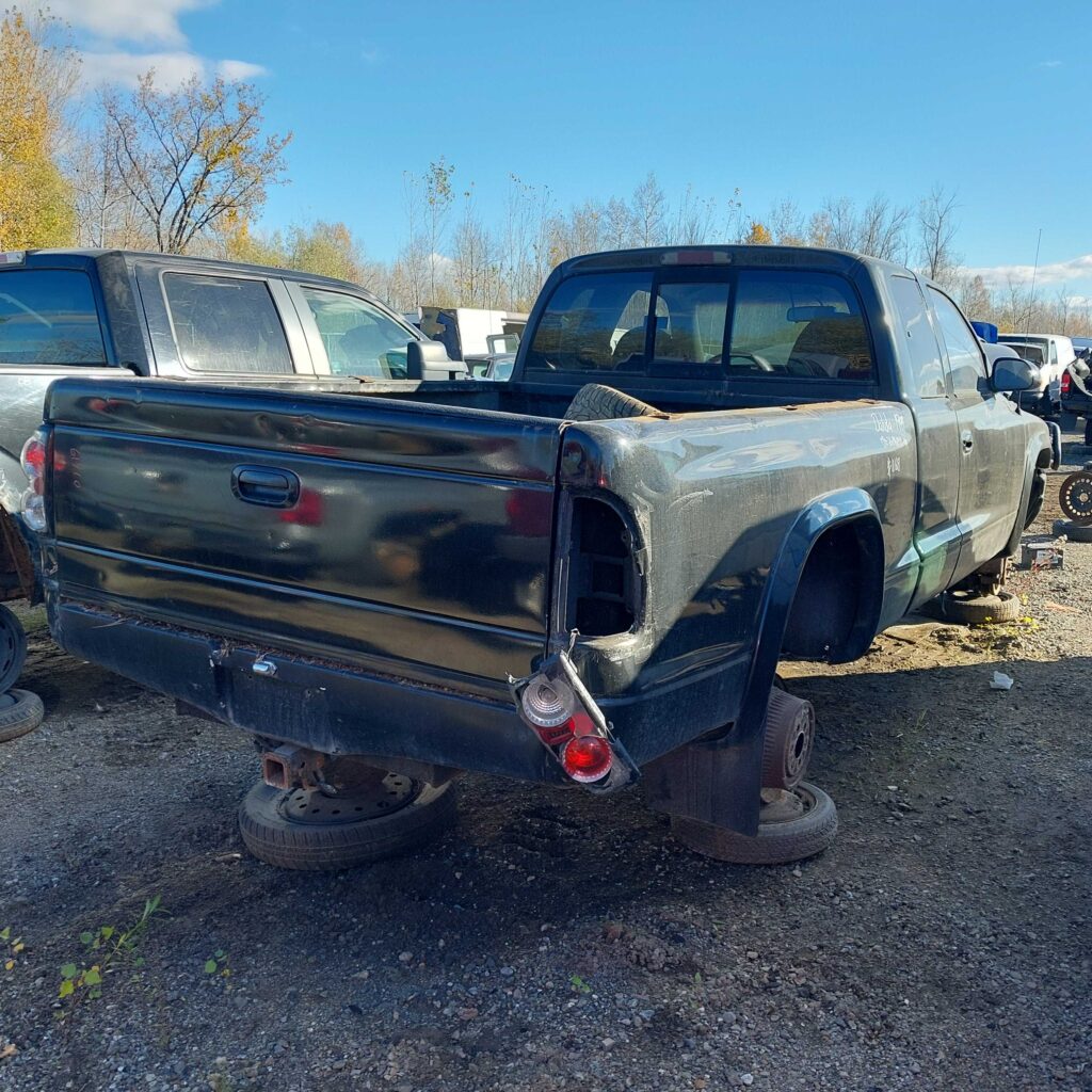 DODGE DAKOTA 1999