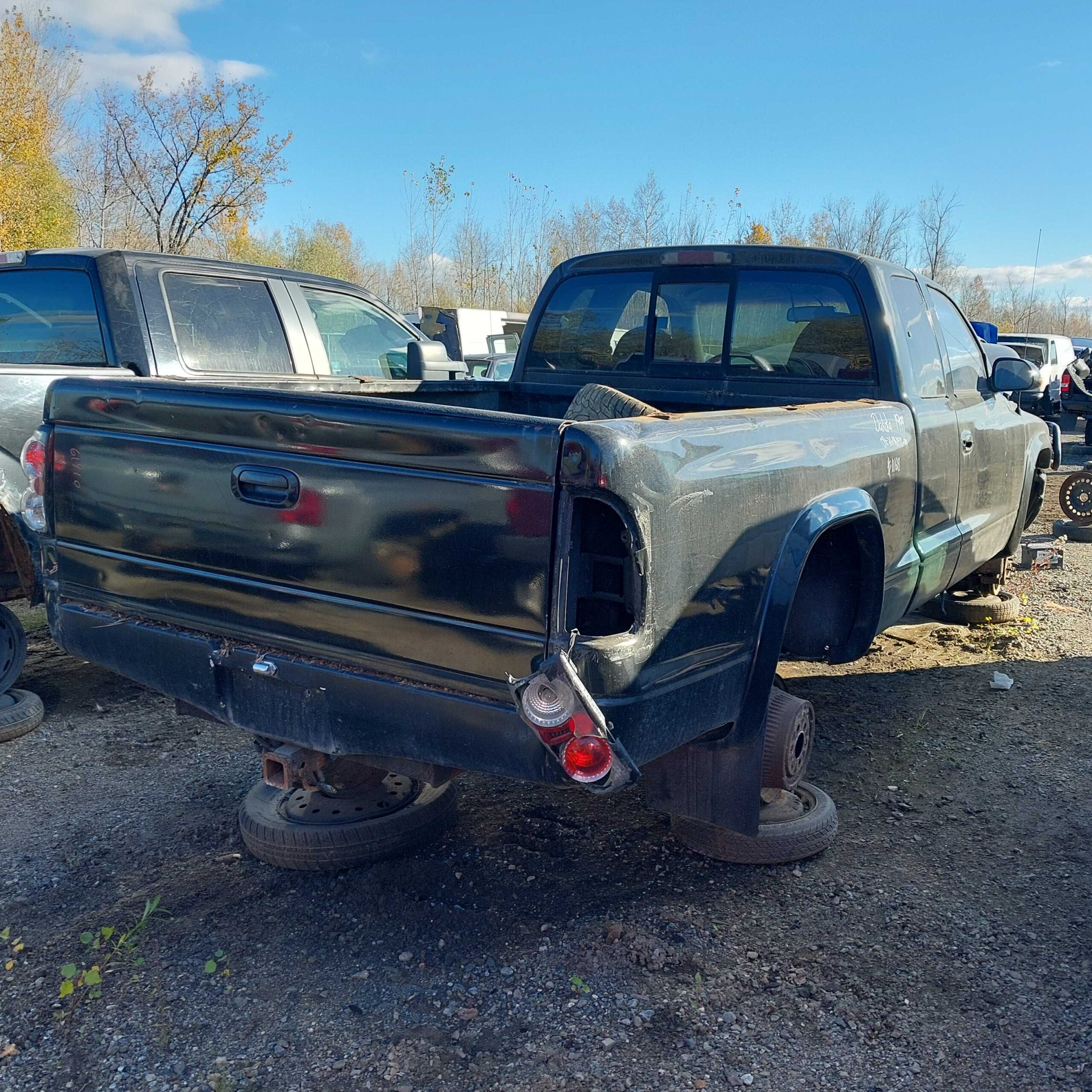 DODGE DAKOTA 1999