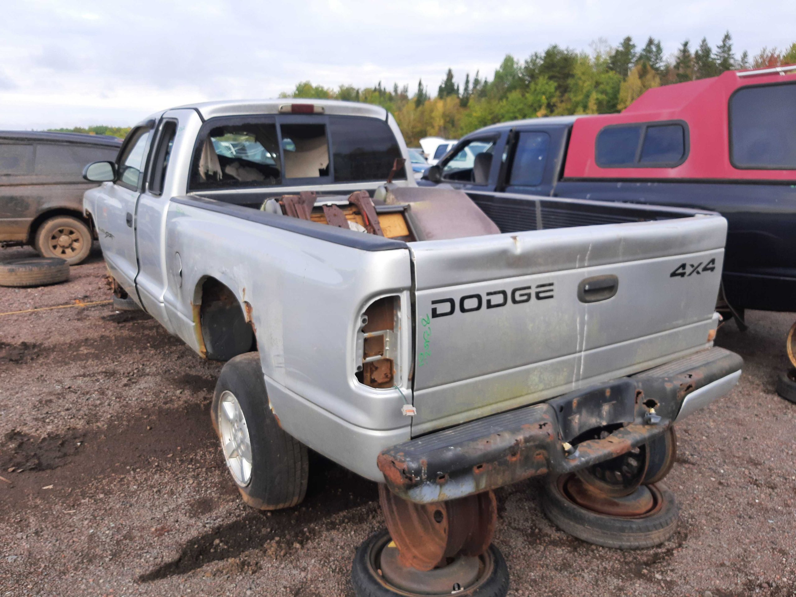 DODGE DAKOTA 2001