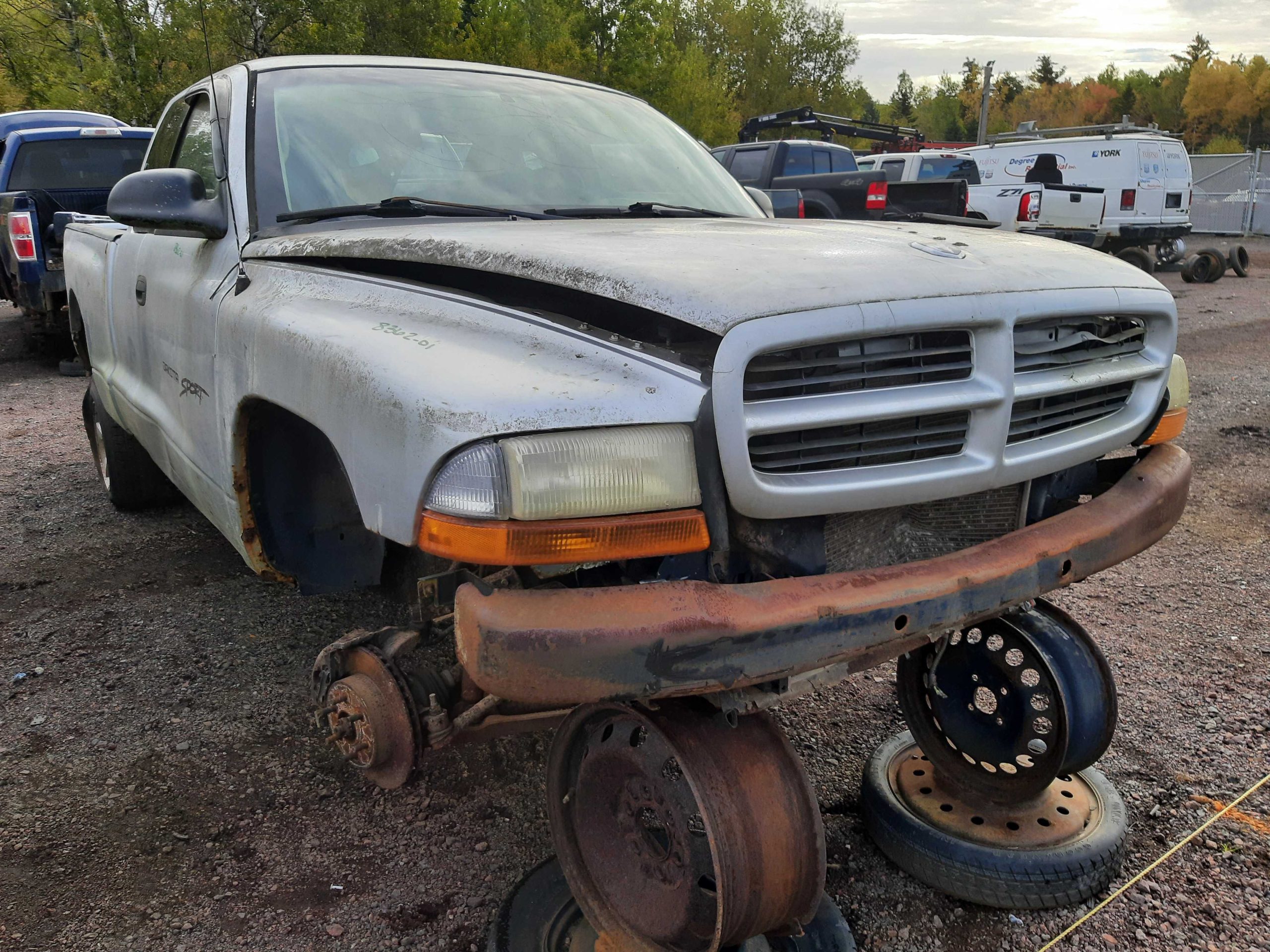 DODGE DAKOTA 2001