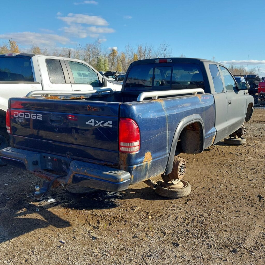 DODGE DAKOTA 2001