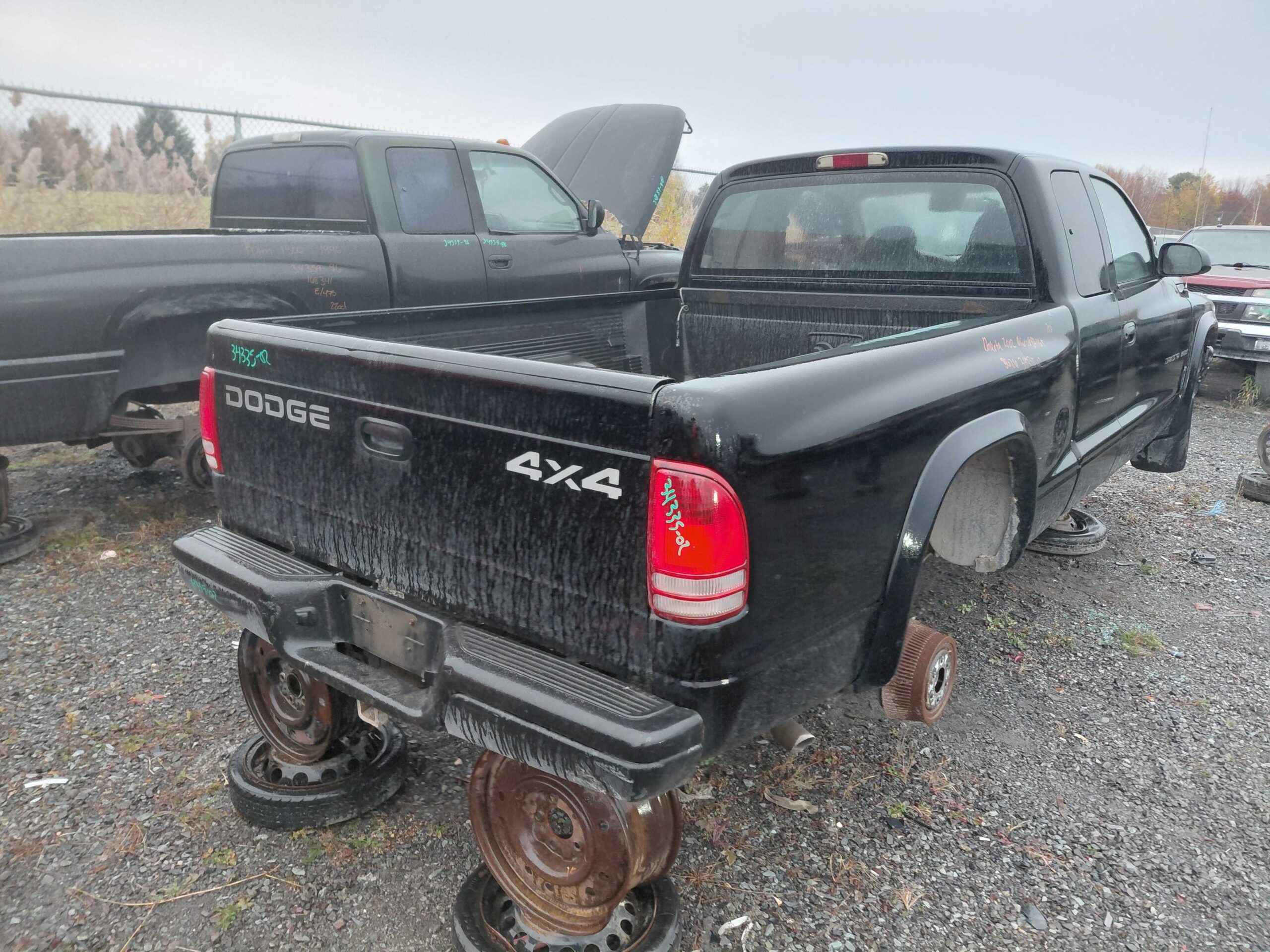 DODGE DAKOTA 2002