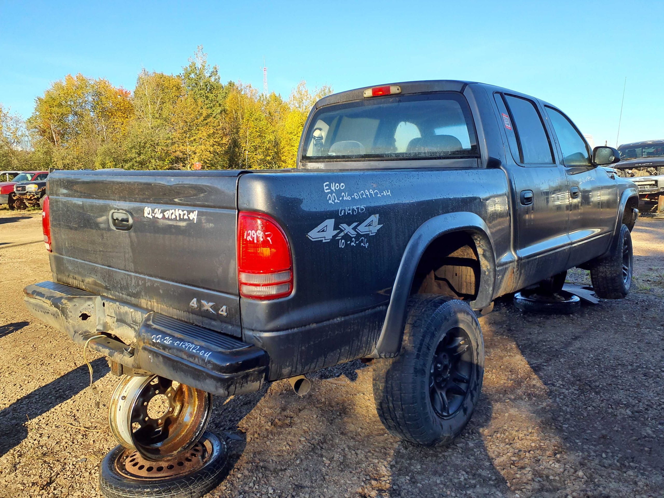 DODGE DAKOTA 2004