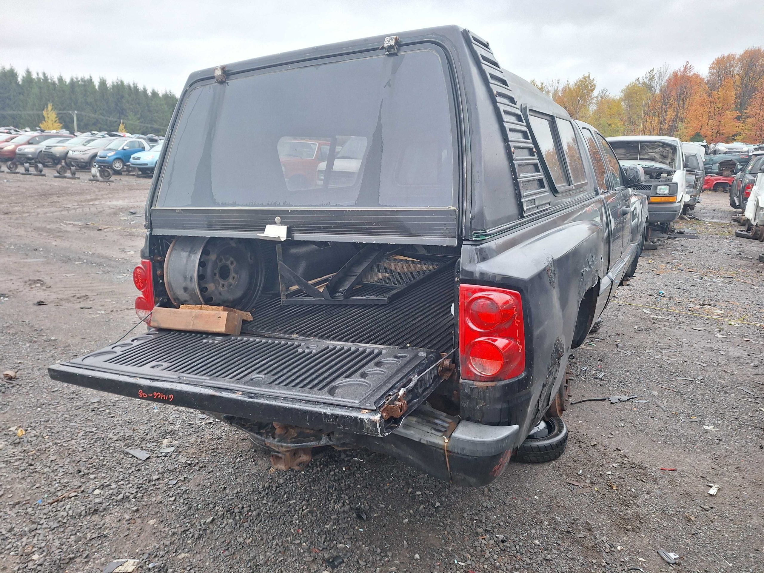 DODGE DAKOTA 2008
