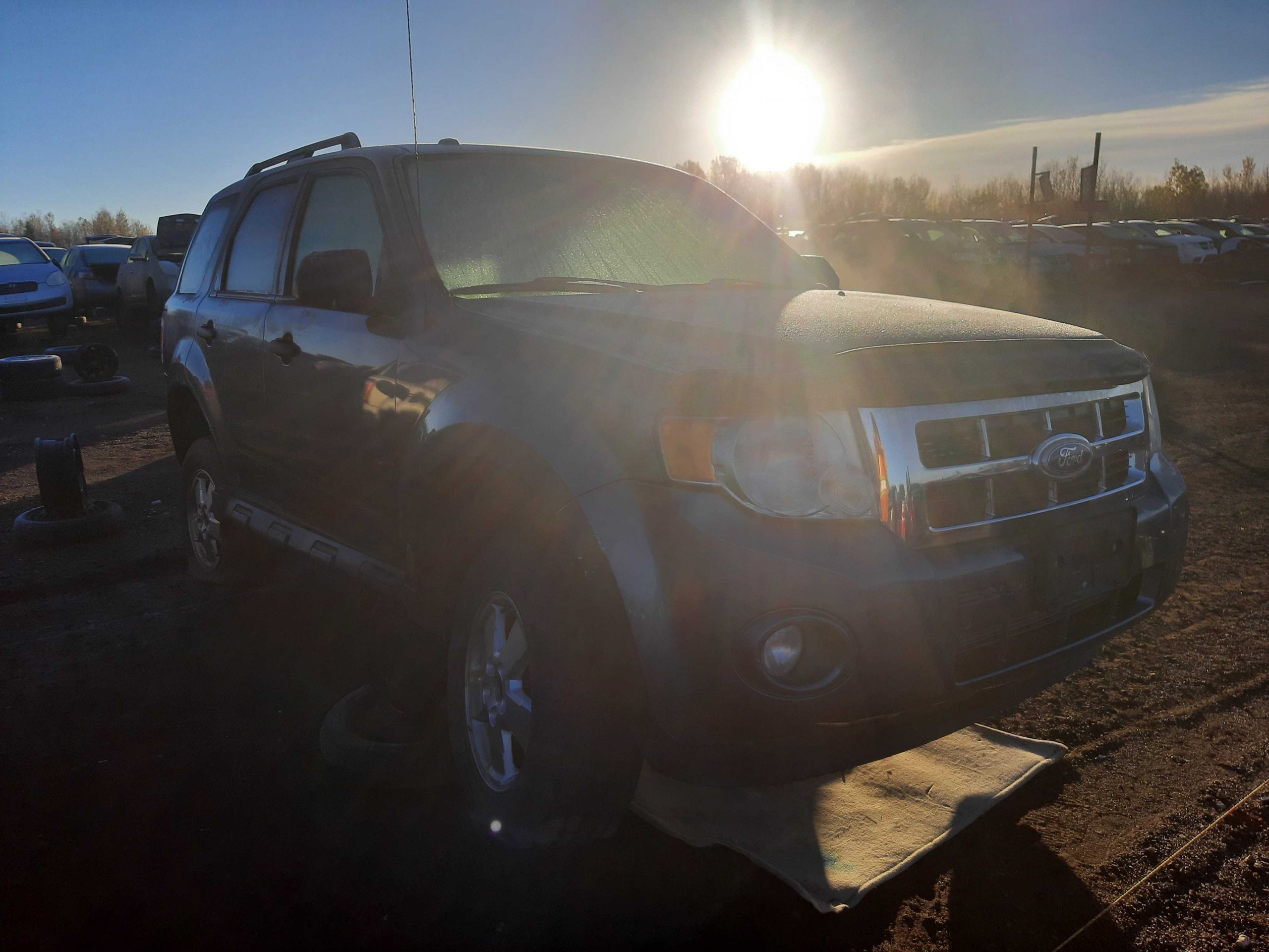 FORD ESCAPE 2010