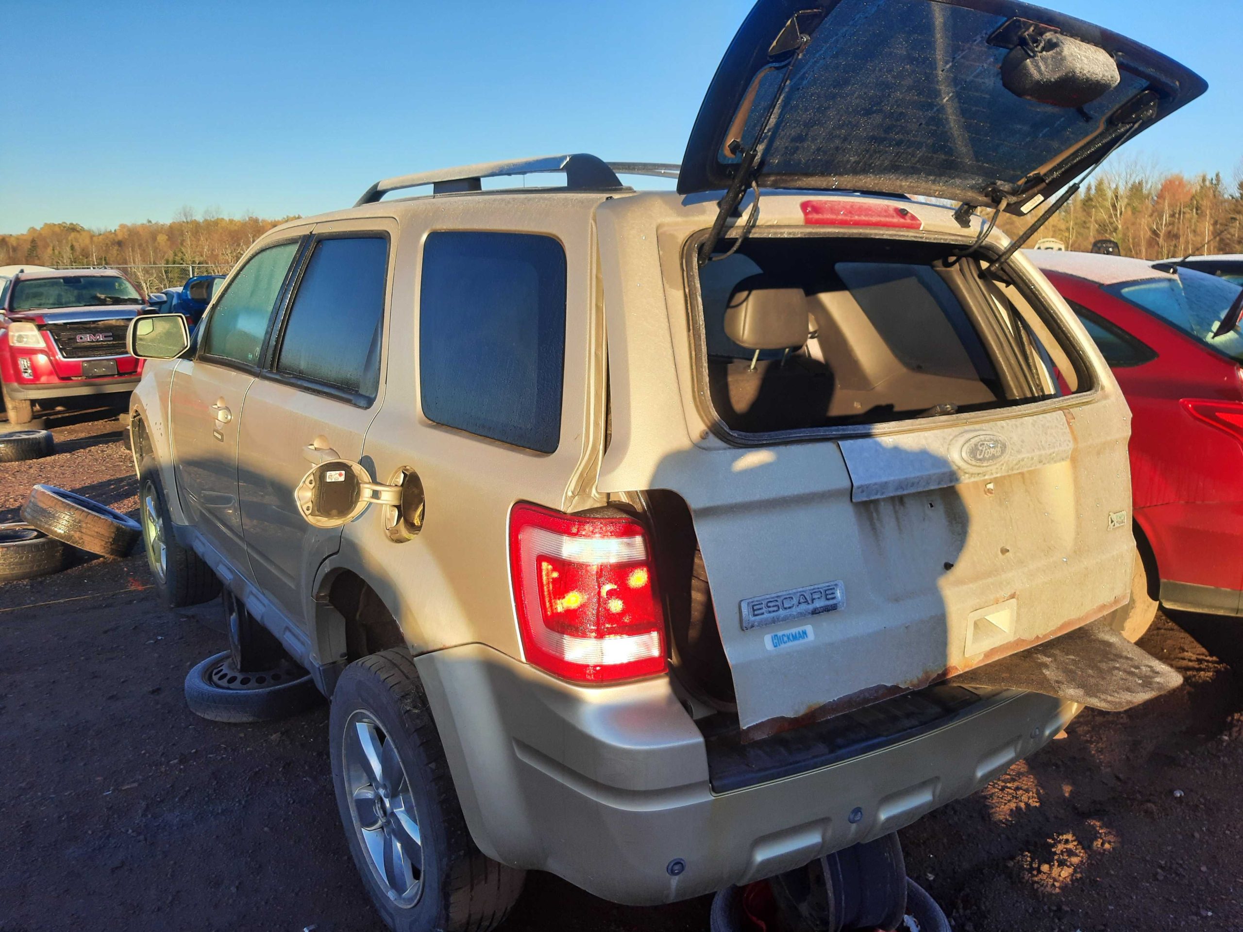 FORD ESCAPE 2010