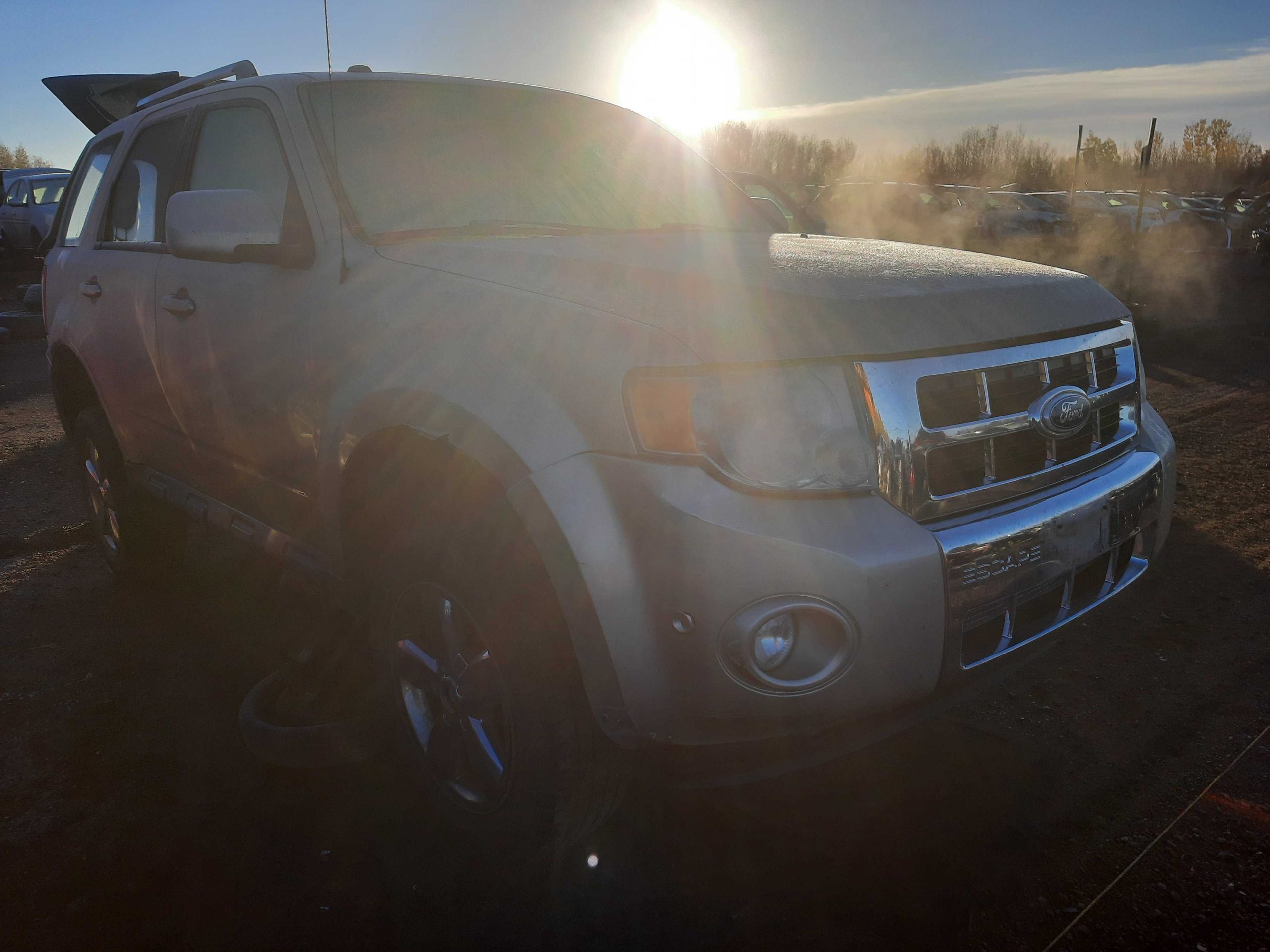 FORD ESCAPE 2010