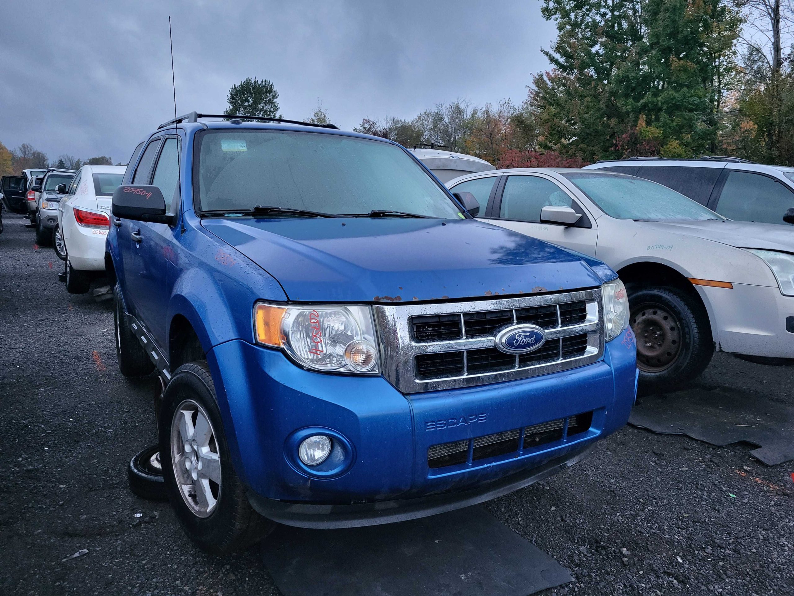 FORD ESCAPE 2011