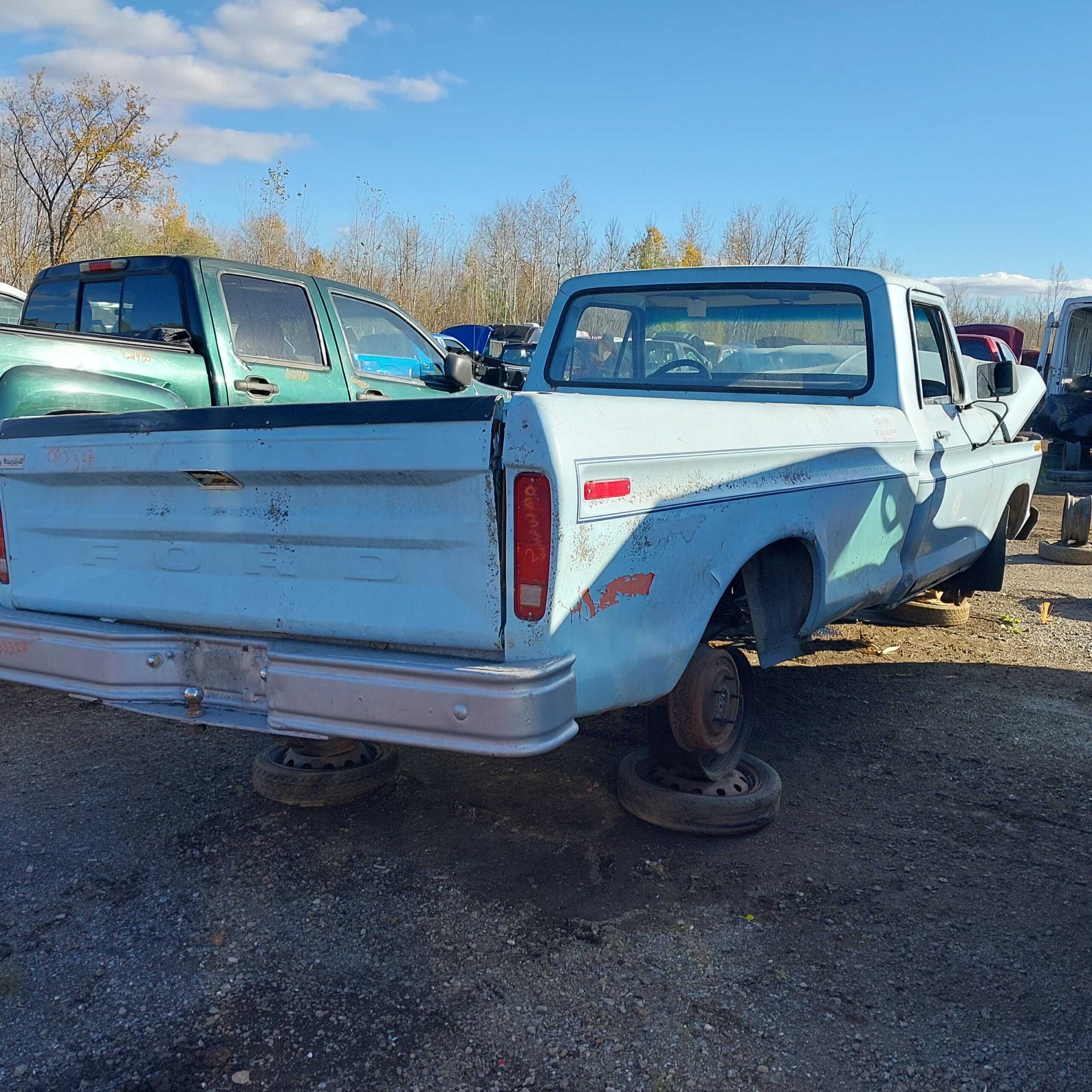 FORD F-100 1979