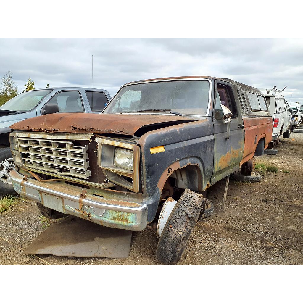 FORD F-150 1980