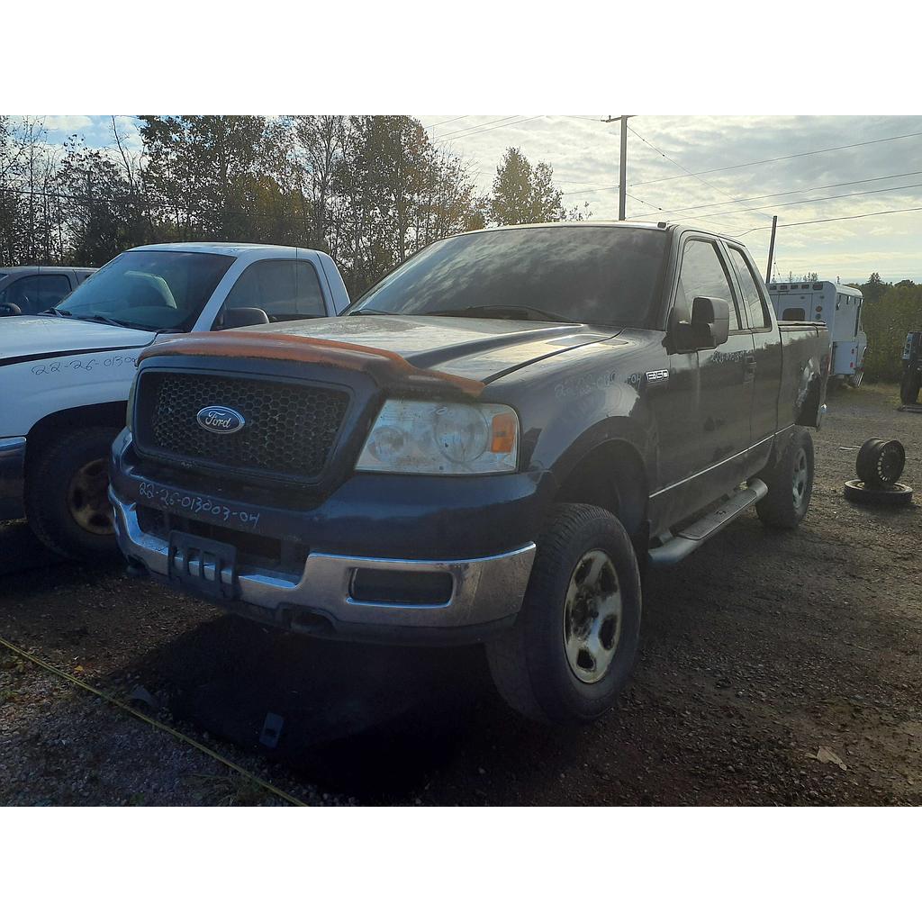 FORD F-150 2004