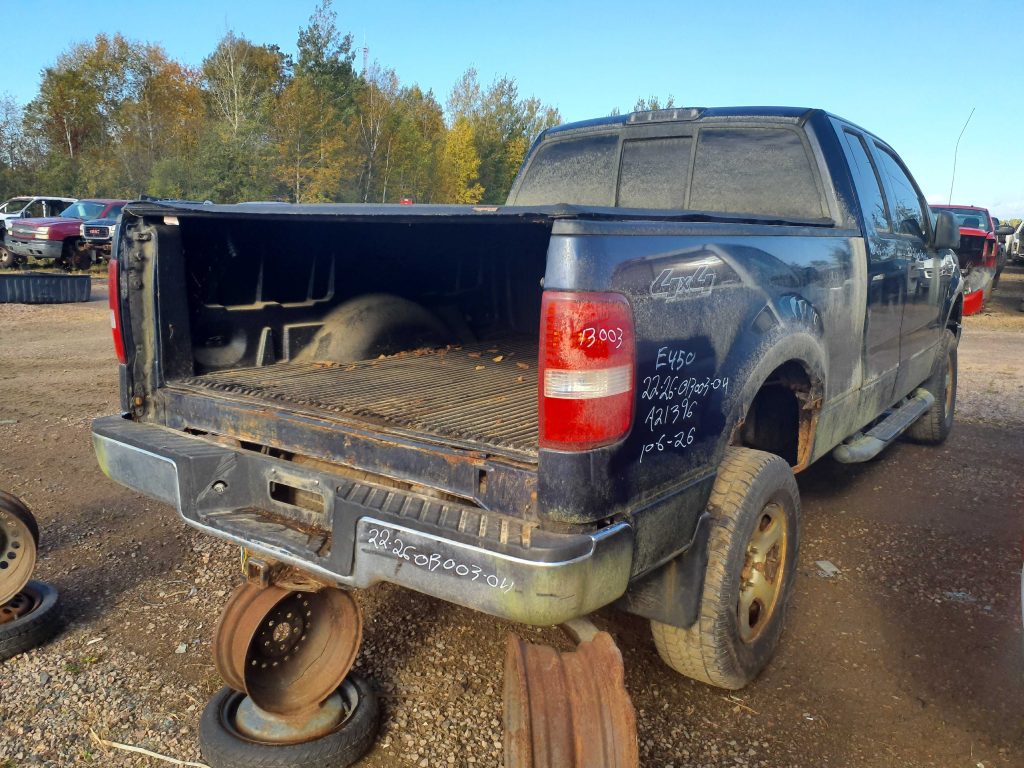 FORD F-150 2004