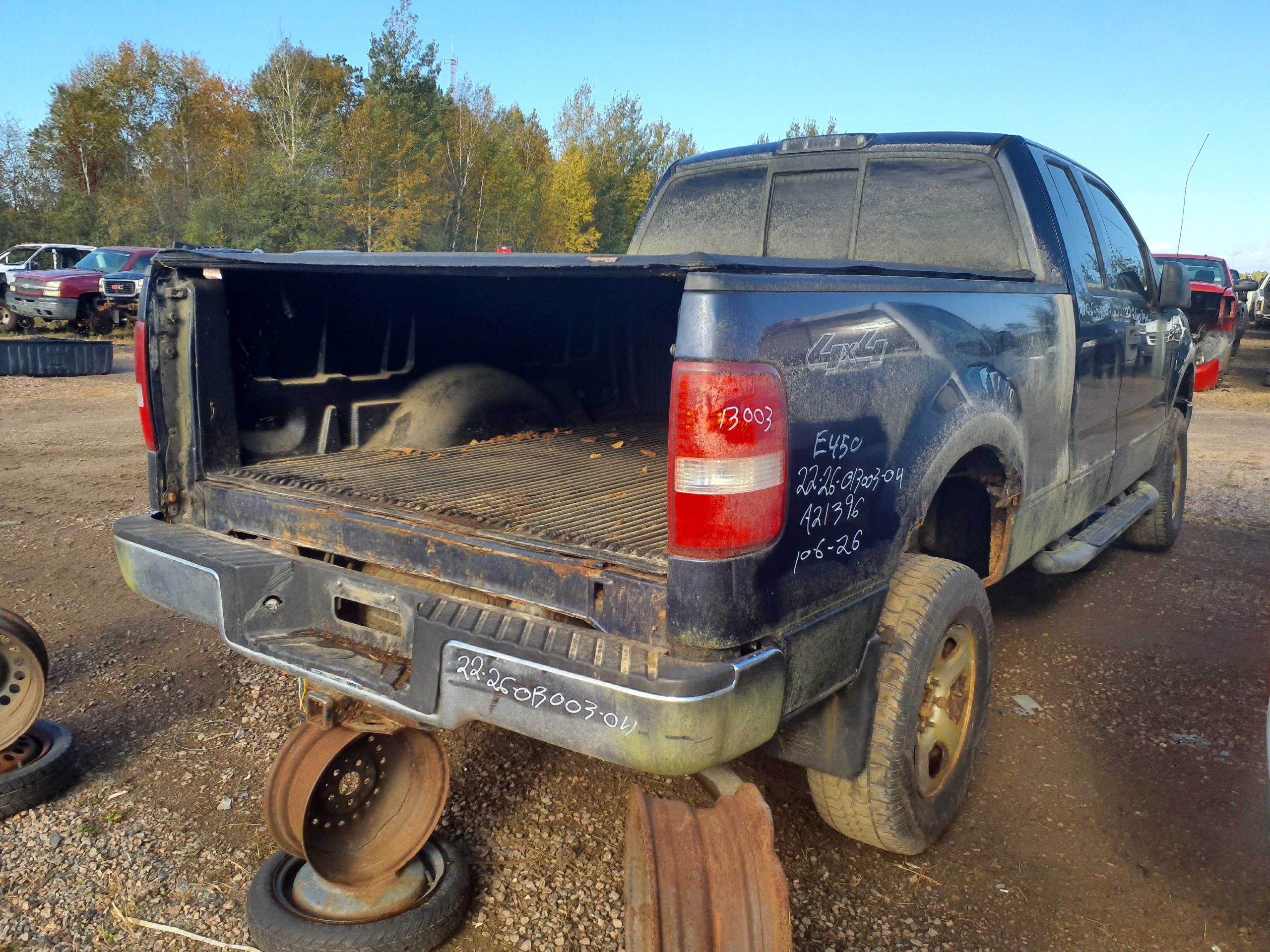 FORD F-150 2004