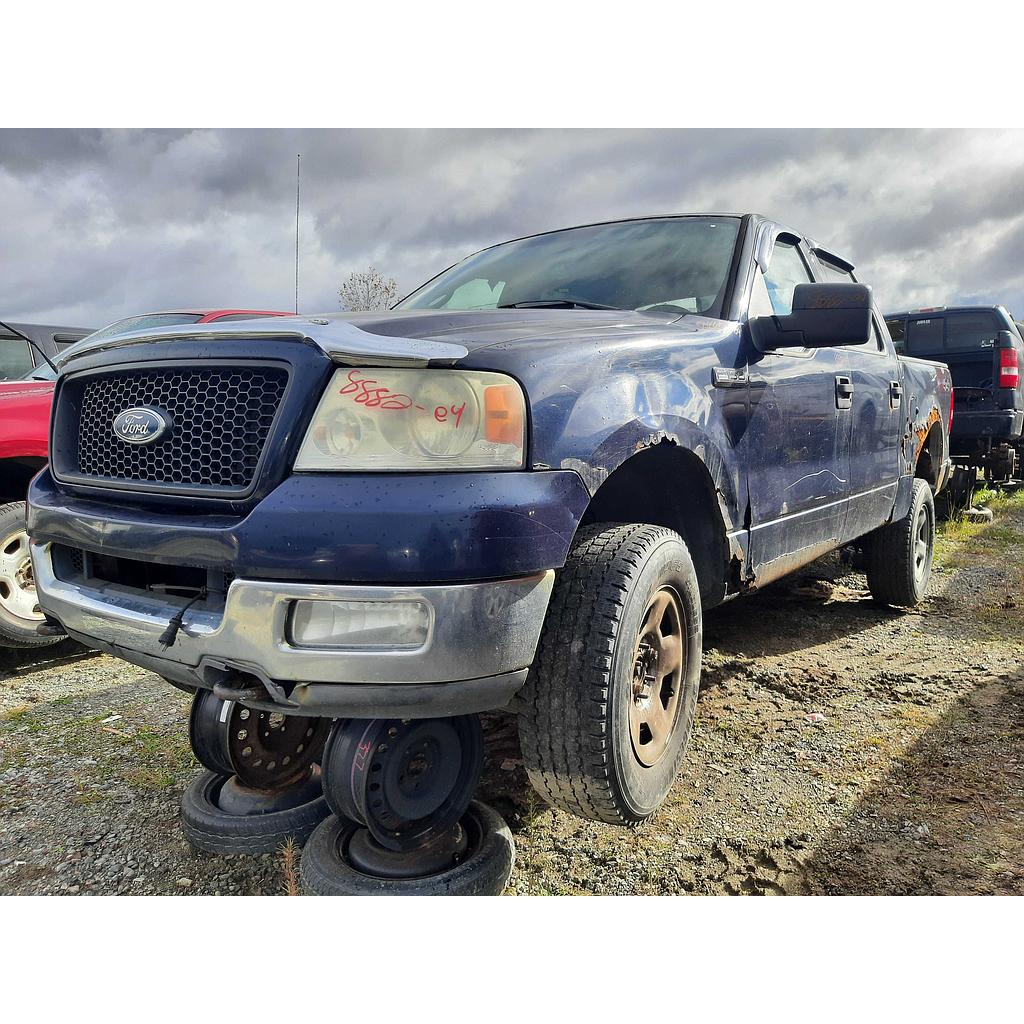 FORD F-150 2004