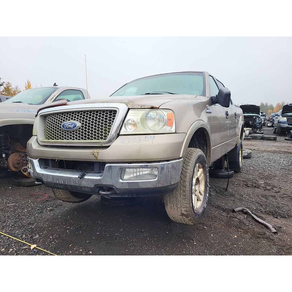 FORD F-150 2004