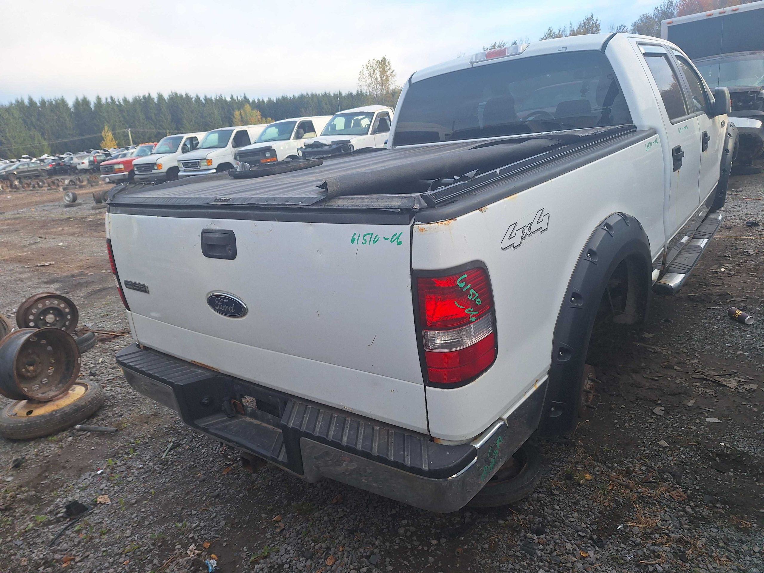 FORD F-150 2006