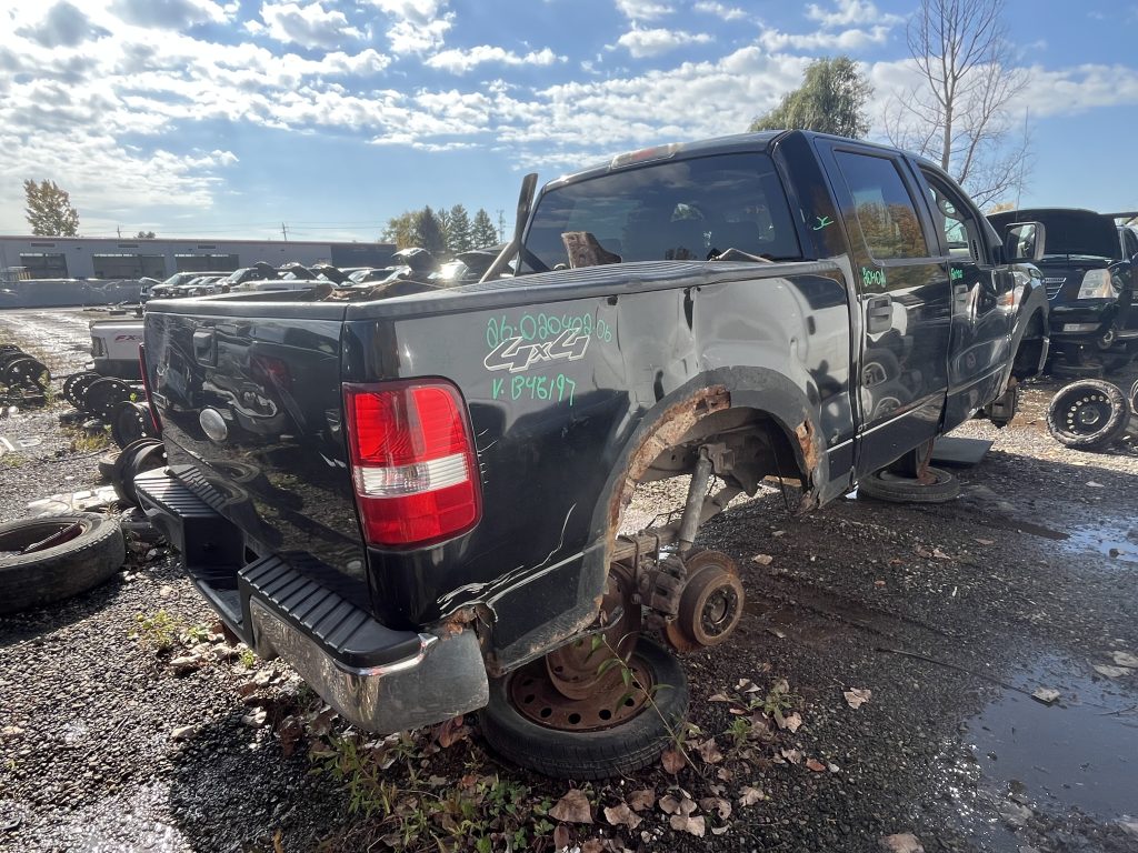 FORD F-150 2006