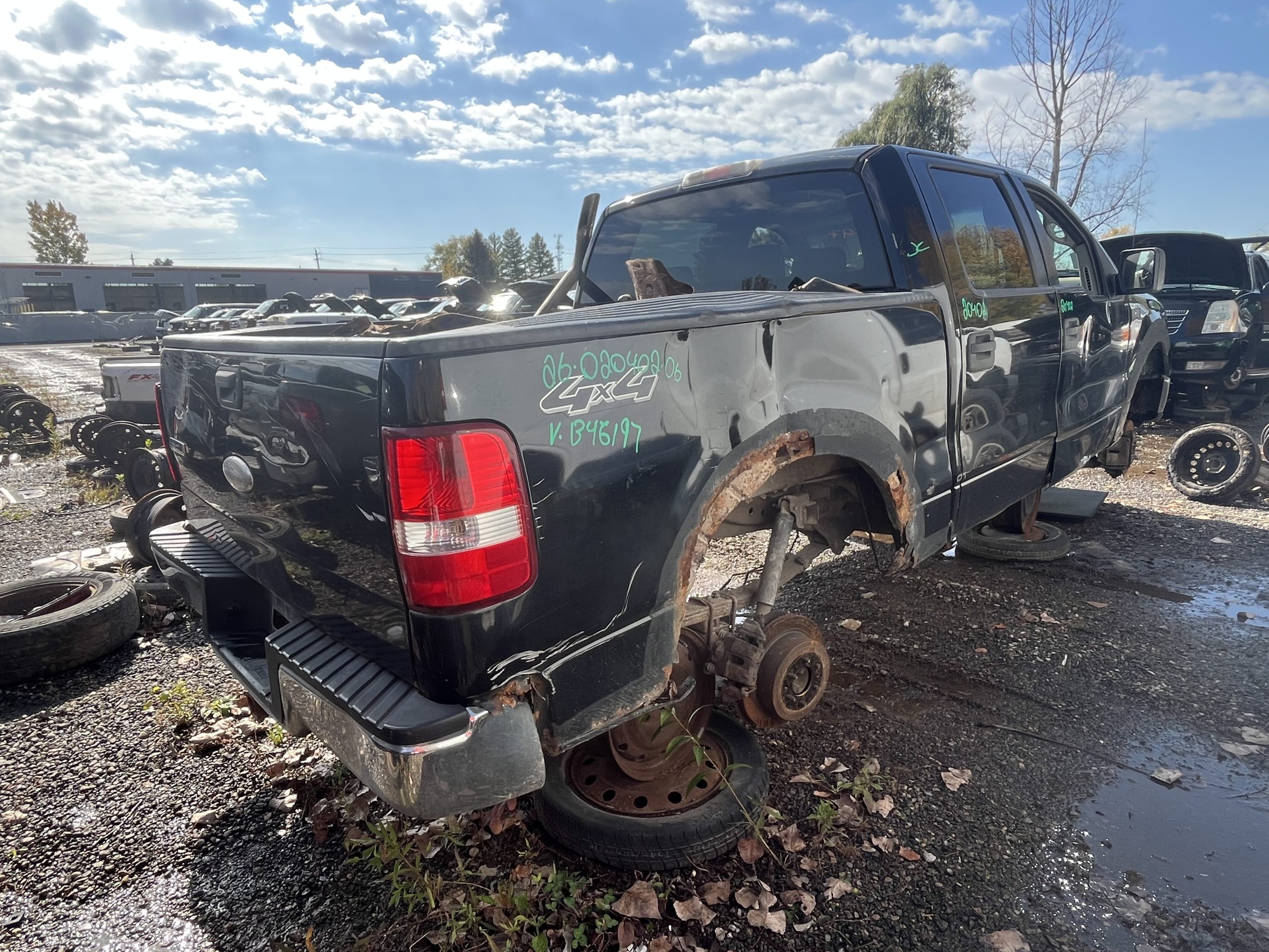 FORD F-150 2006