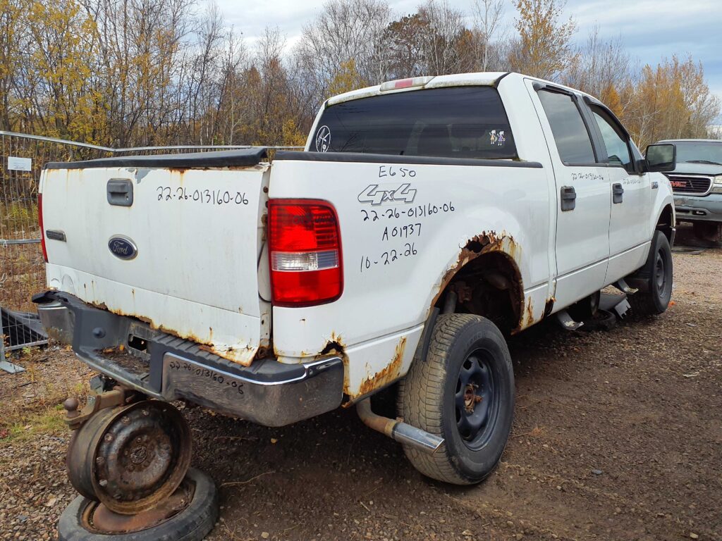 FORD F-150 2006