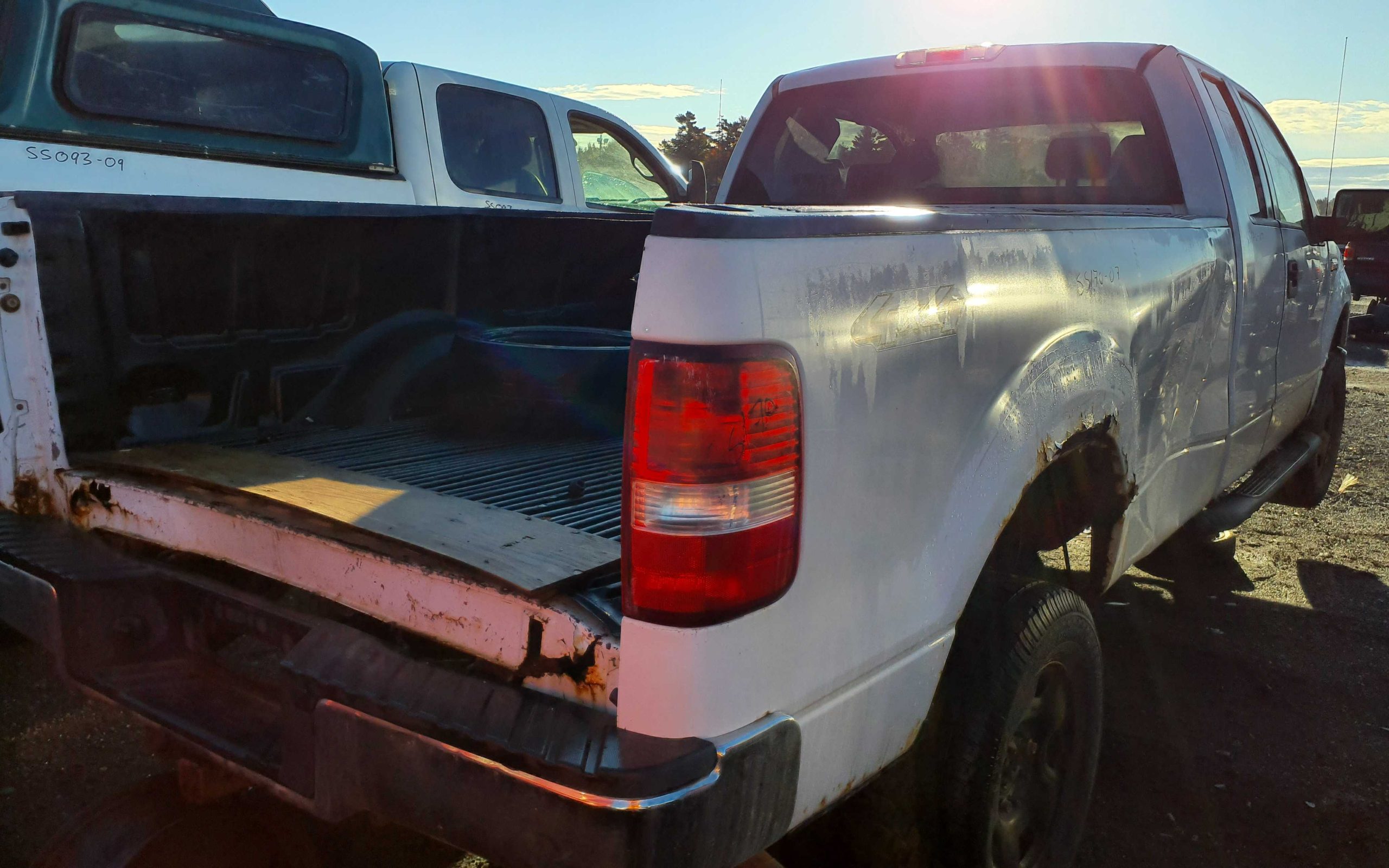 FORD F-150 2007