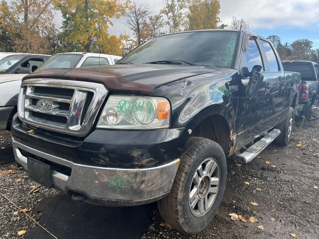 FORD F-150 2007