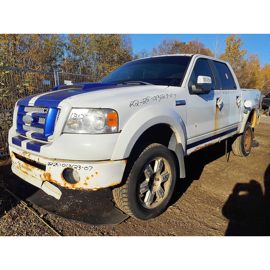 FORD F-150 2007