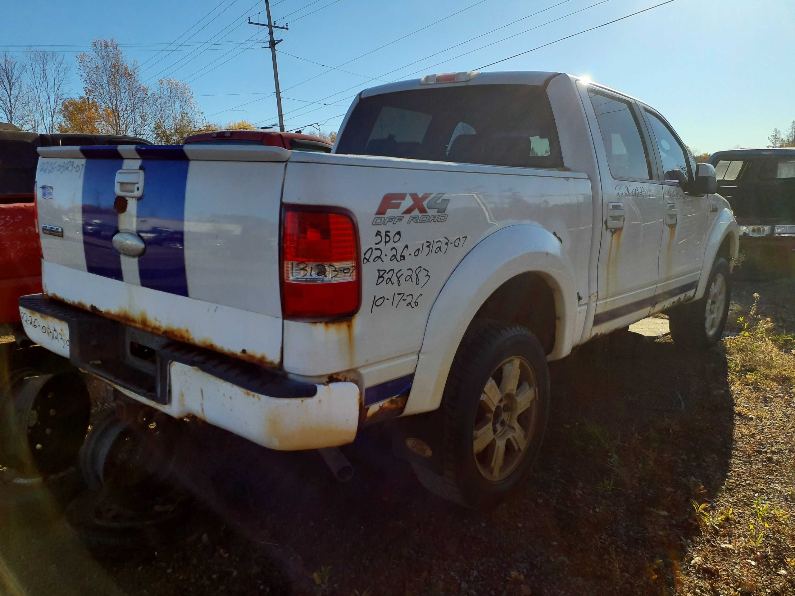 FORD F-150 2007
