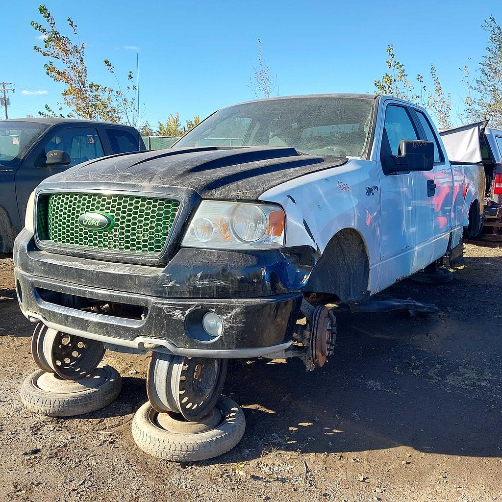 FORD F-150 2007